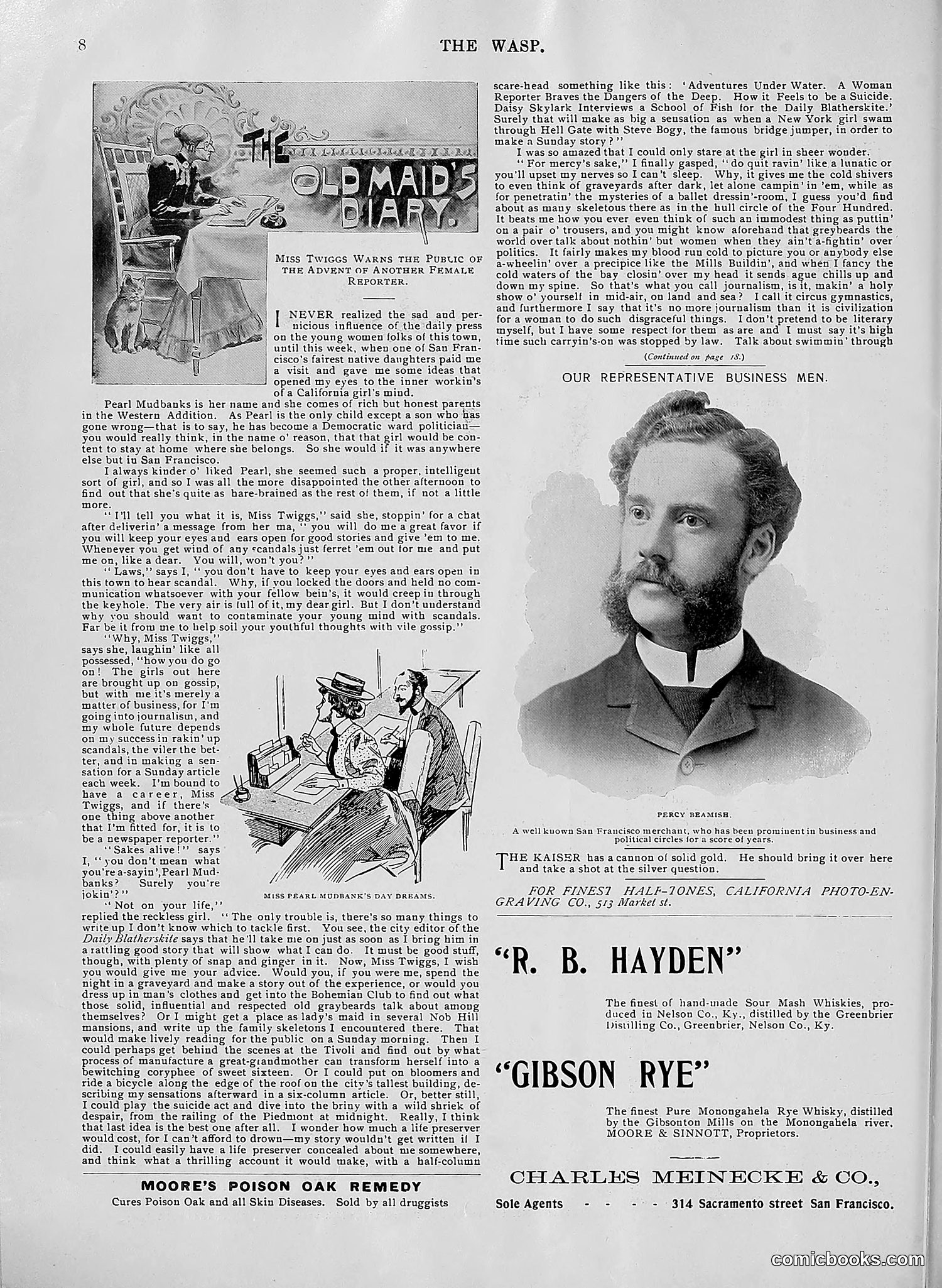 The Wasp — 1896 — page 559 of 1082