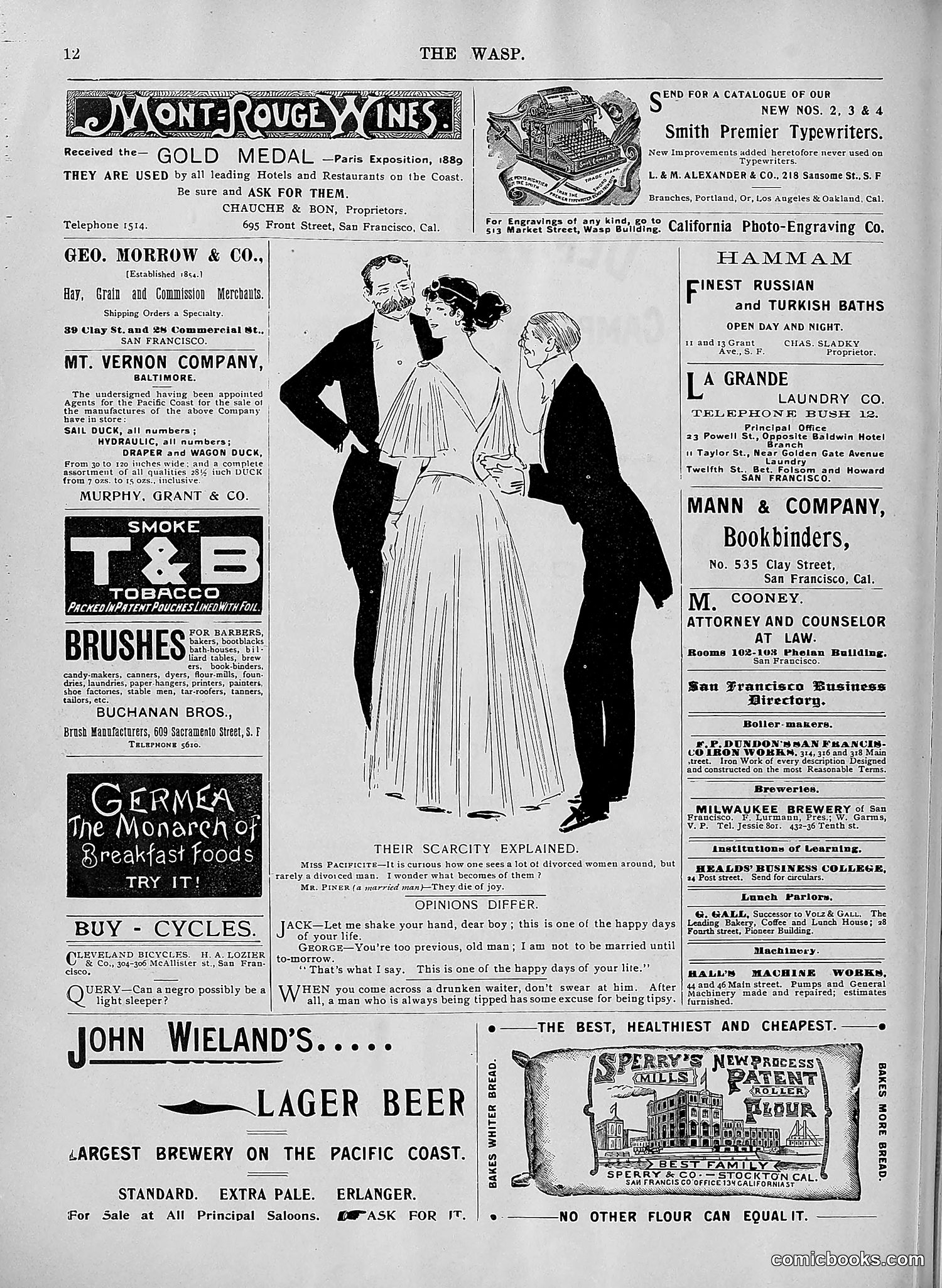The Wasp — 1896 — page 563 of 1082