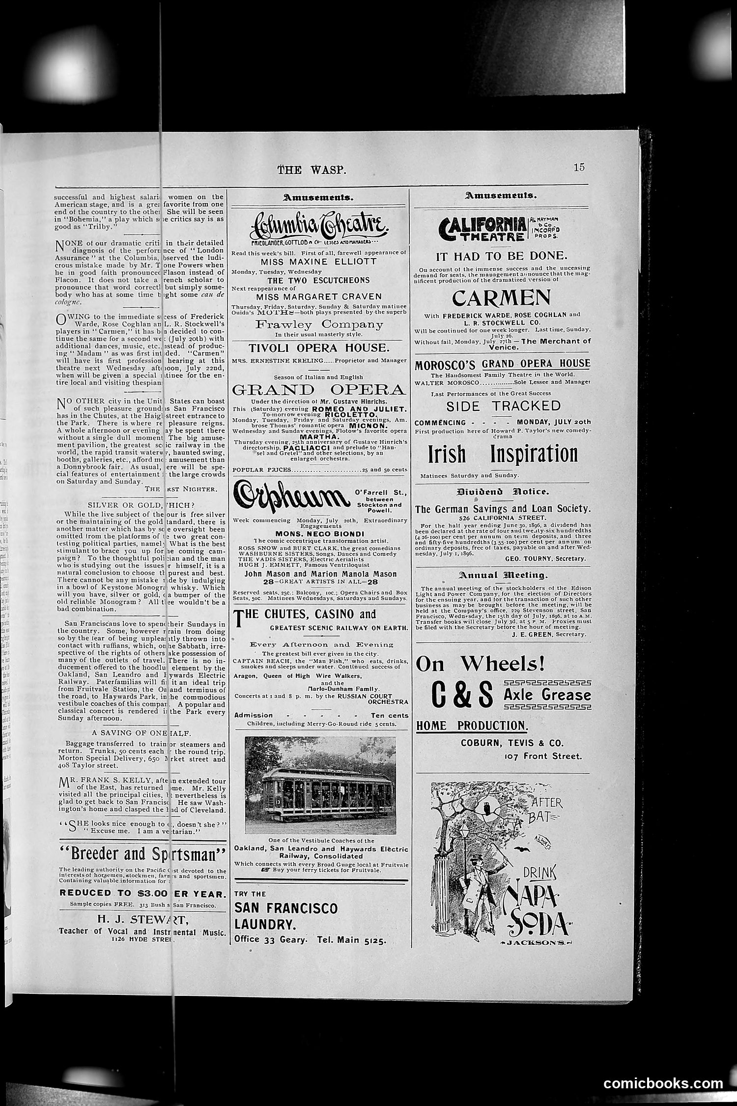 The Wasp — 1896 — page 566 of 1082