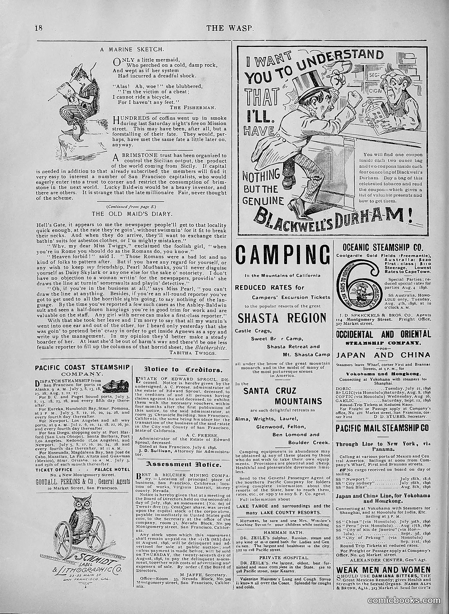 The Wasp — 1896 — page 571 of 1082