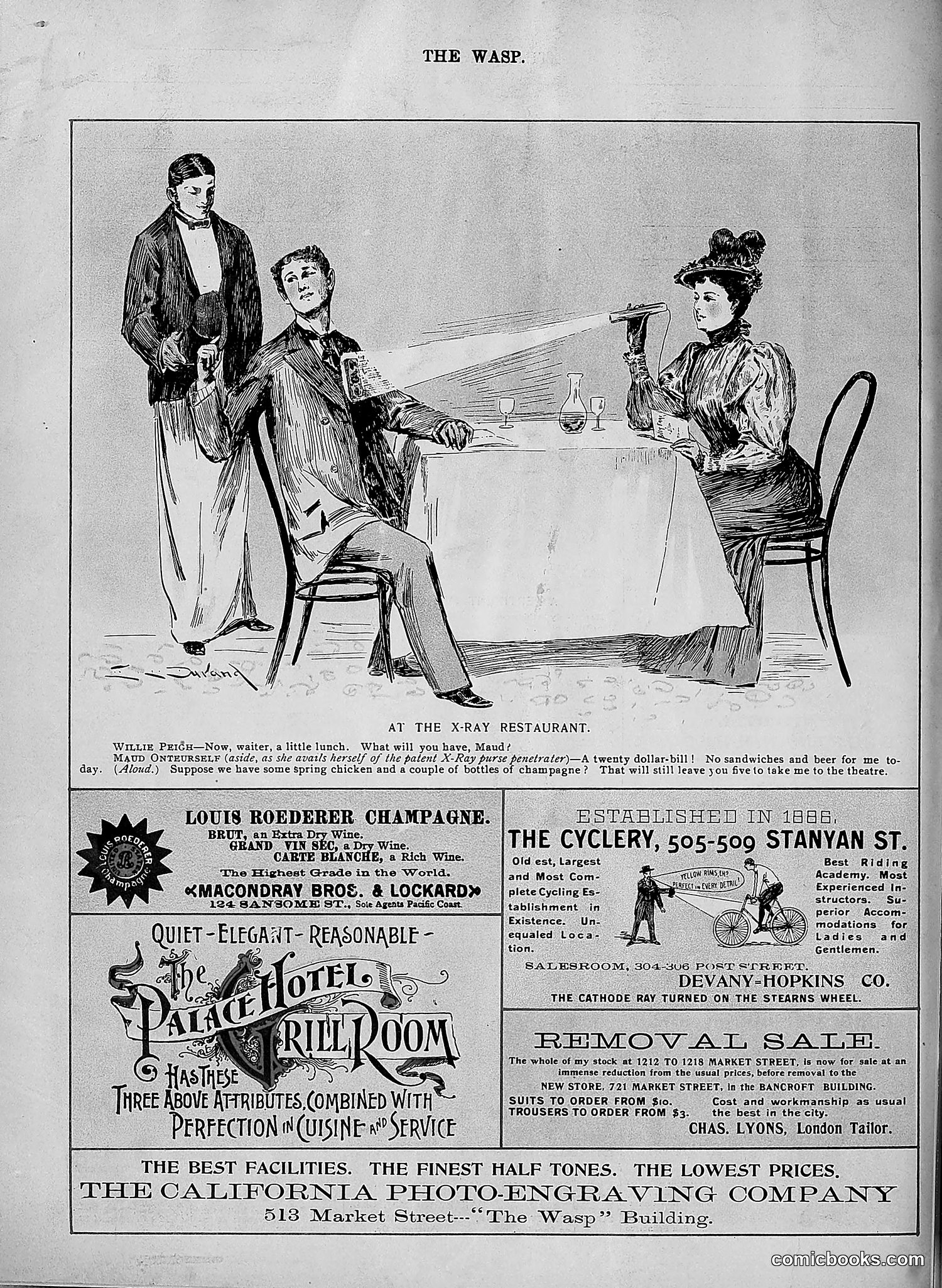 The Wasp — 1896 — page 573 of 1082