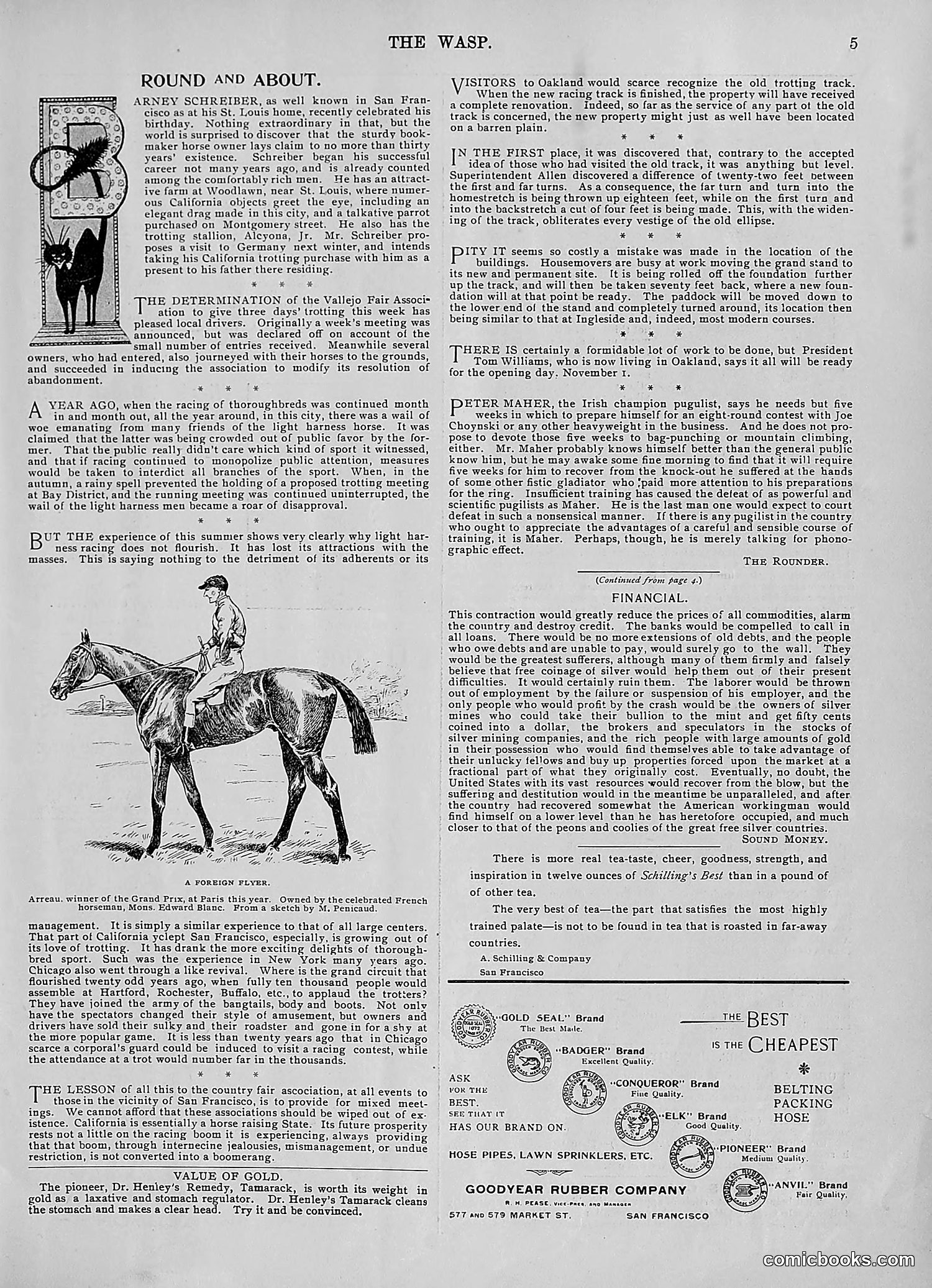 The Wasp — 1896 — page 578 of 1082