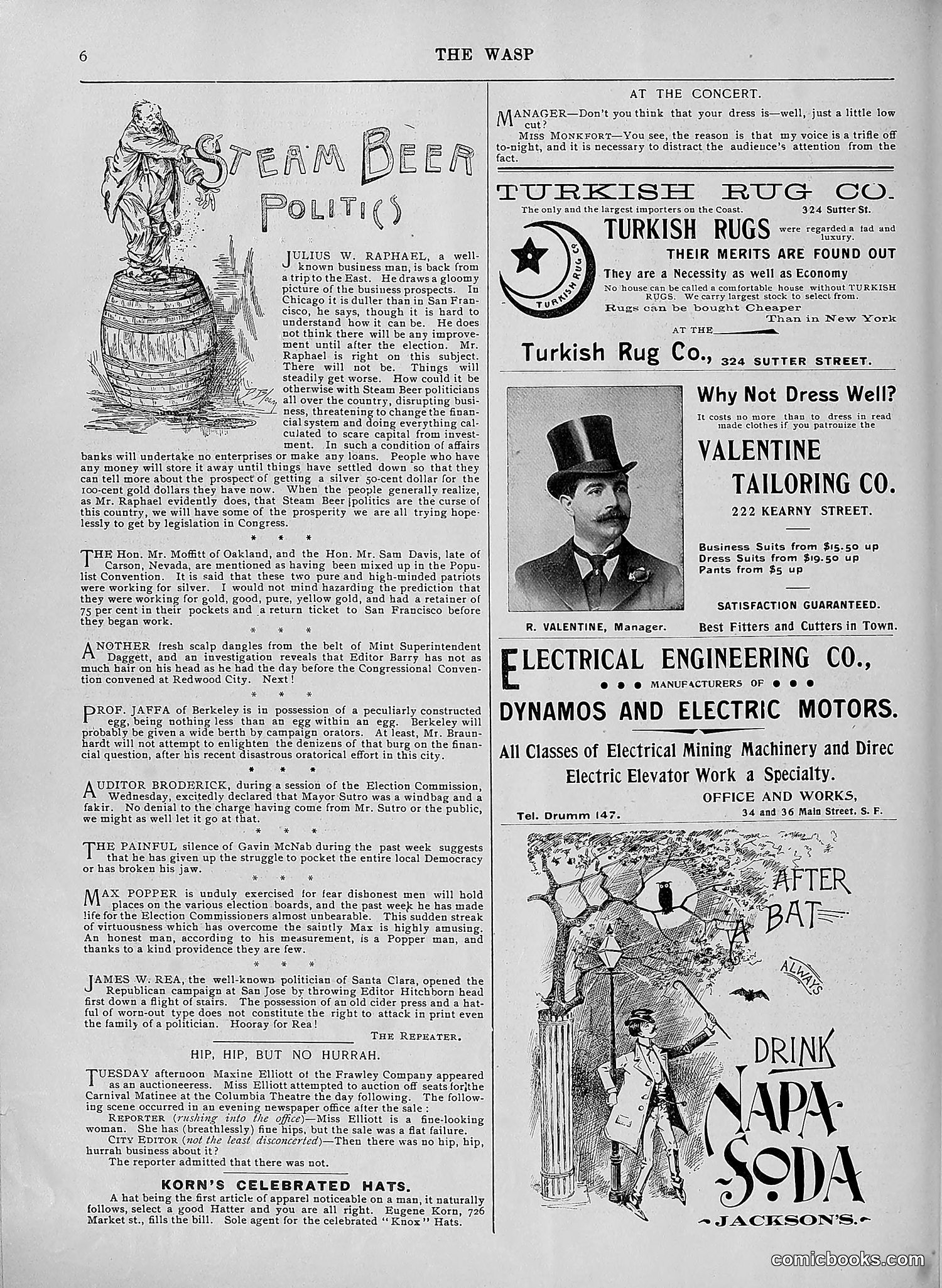 The Wasp — 1896 — page 579 of 1082