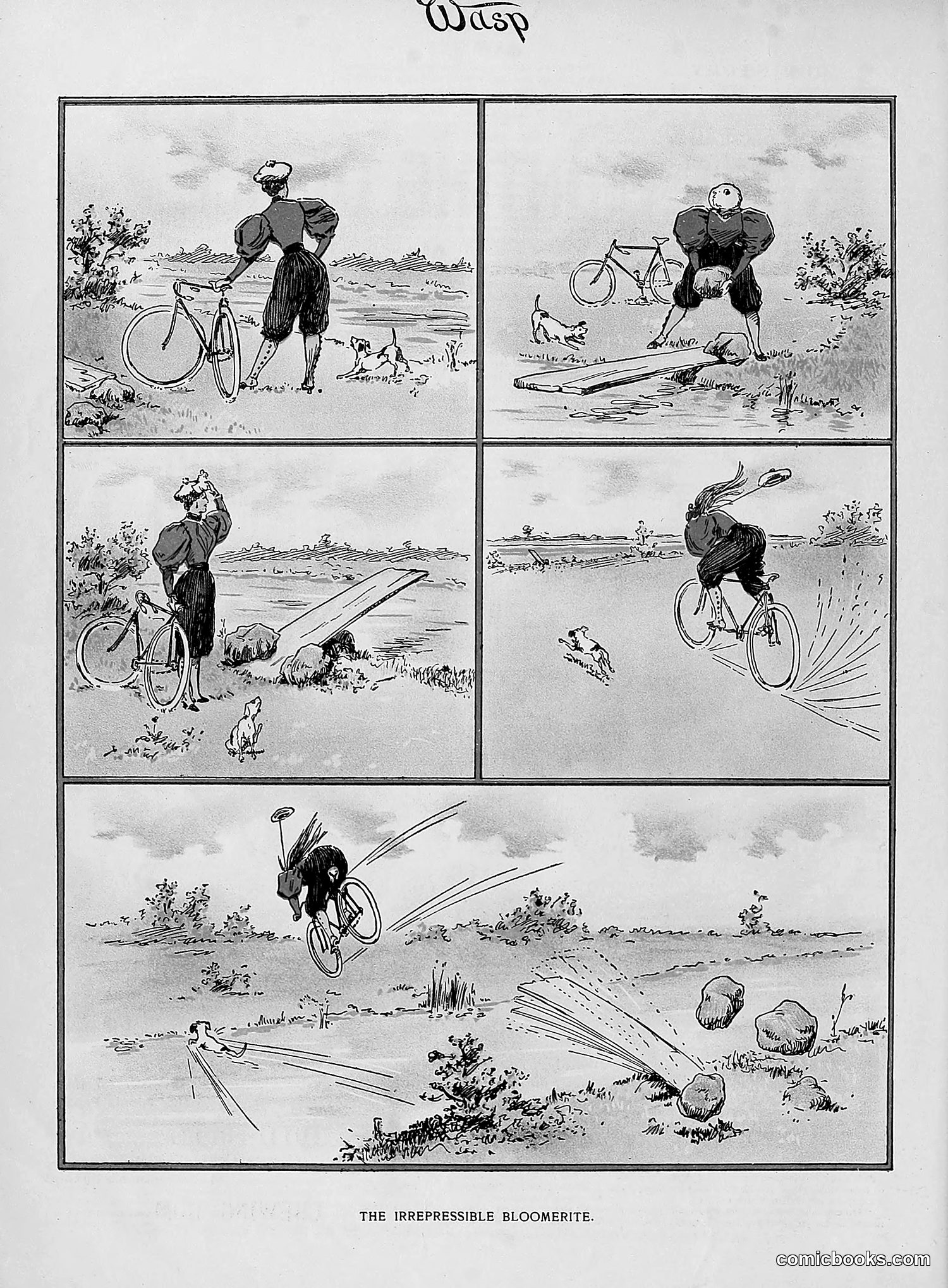 The Wasp — 1896 — page 59 of 1082