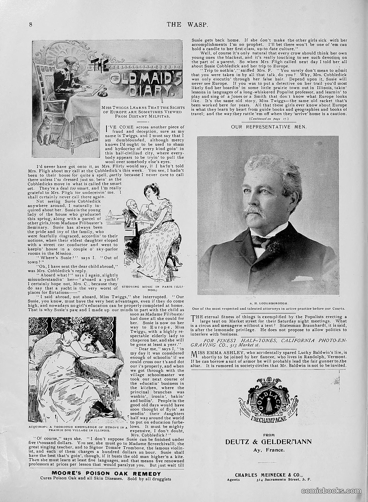 The Wasp — 1896 — page 581 of 1082