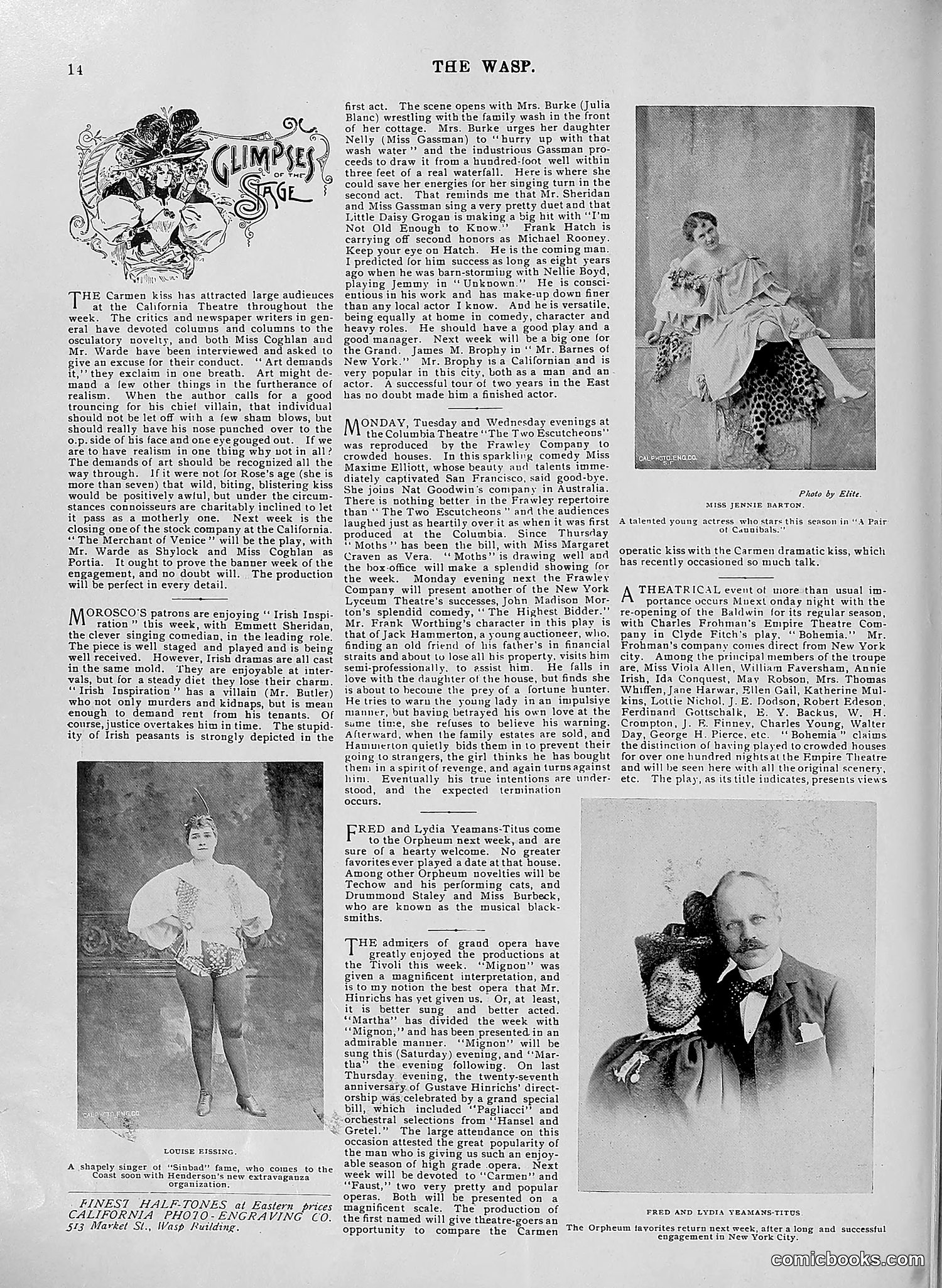 The Wasp — 1896 — page 585 of 1082