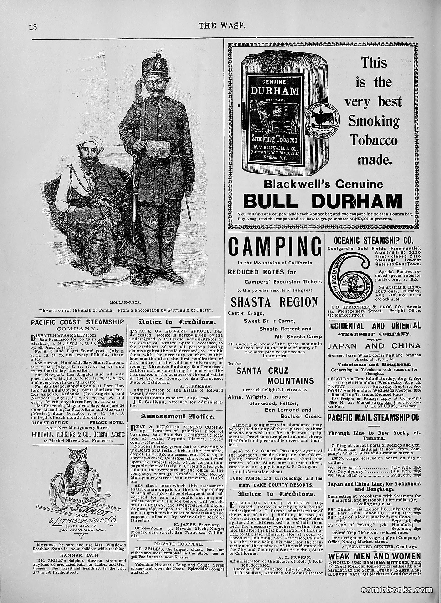 The Wasp — 1896 — page 589 of 1082