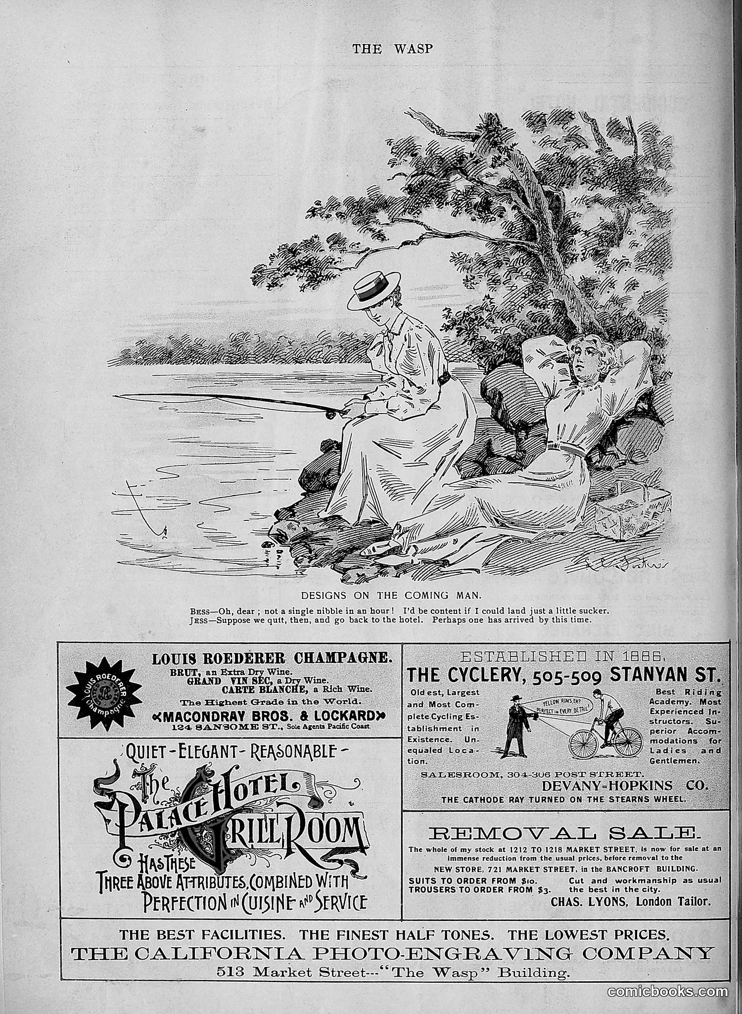 The Wasp — 1896 — page 591 of 1082