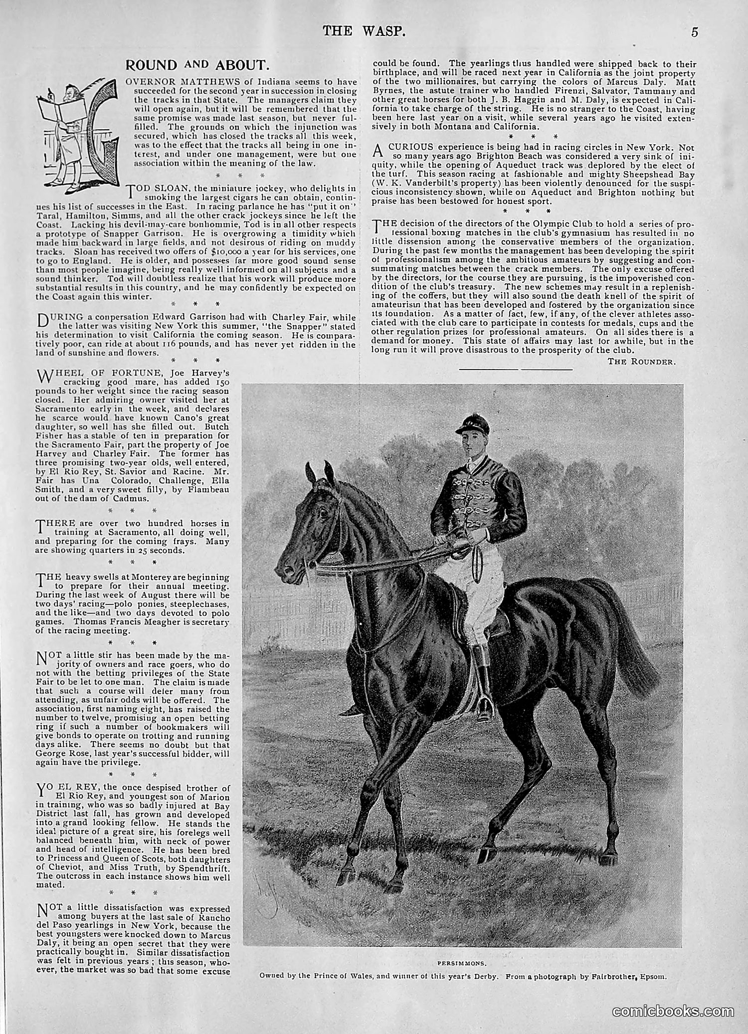 The Wasp — 1896 — page 596 of 1082