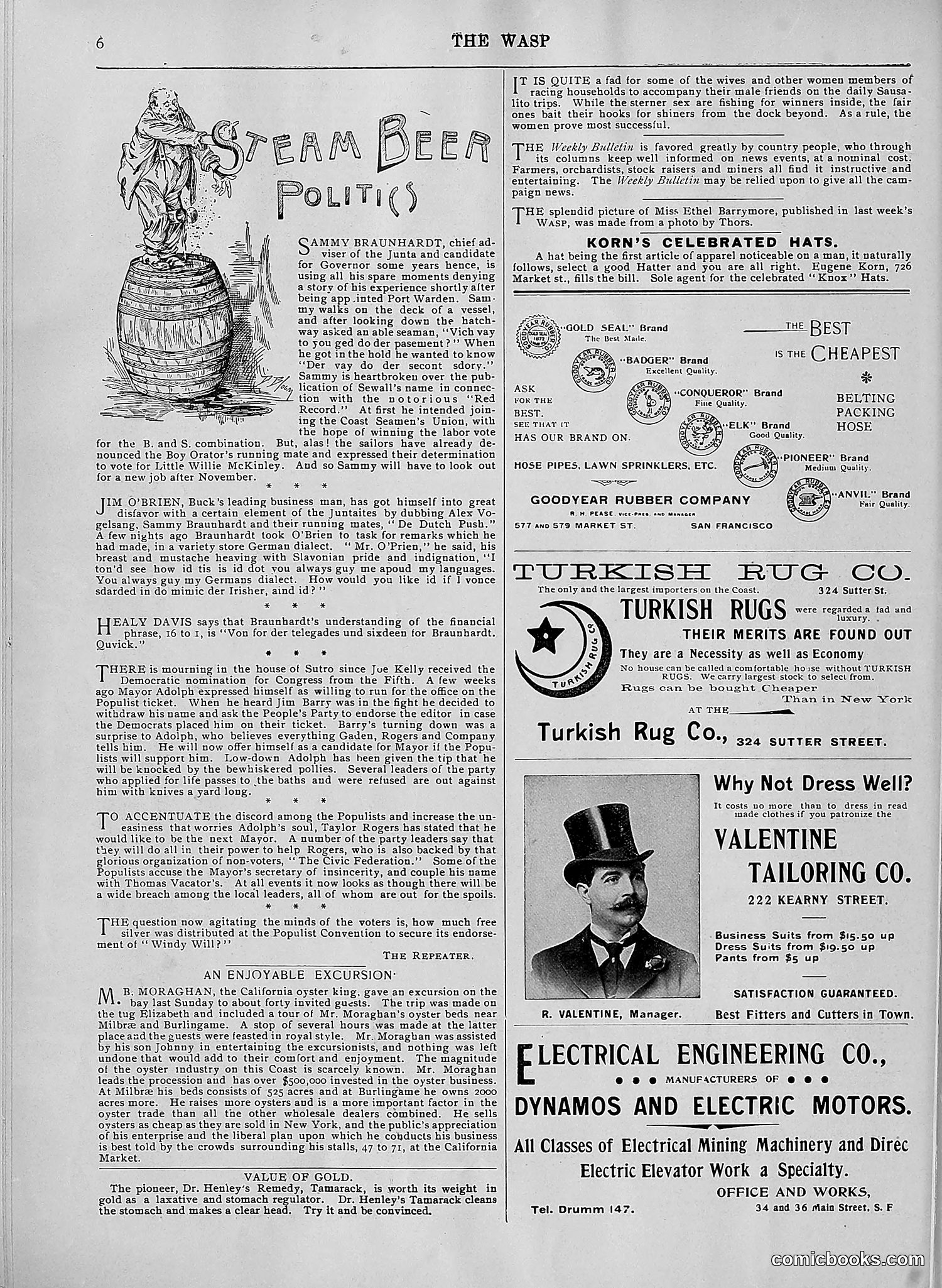 The Wasp — 1896 — page 597 of 1082