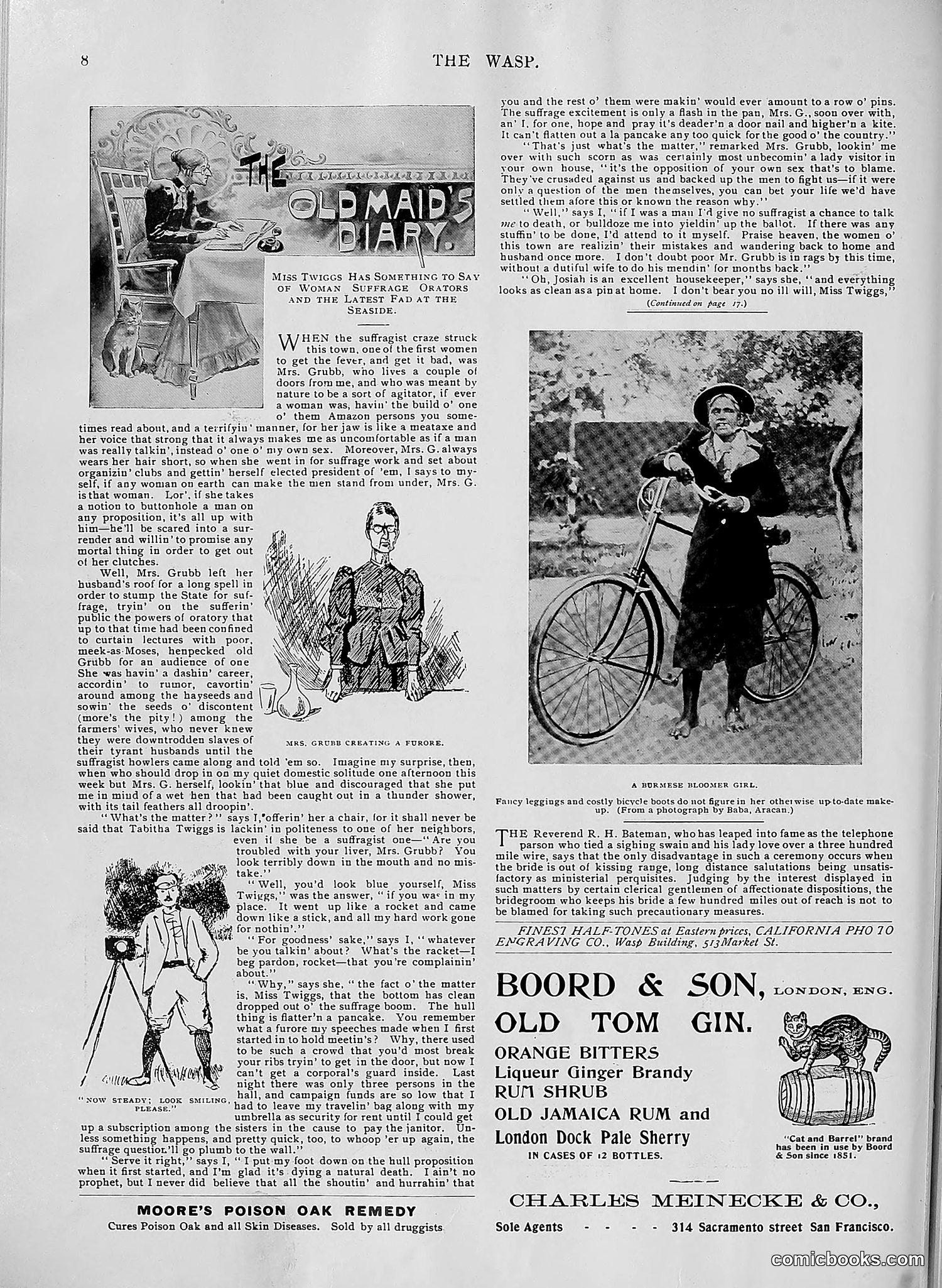 The Wasp — 1896 — page 599 of 1082