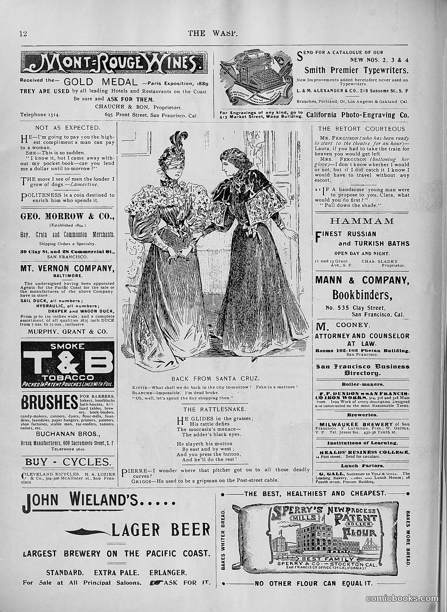 The Wasp — 1896 — page 603 of 1082