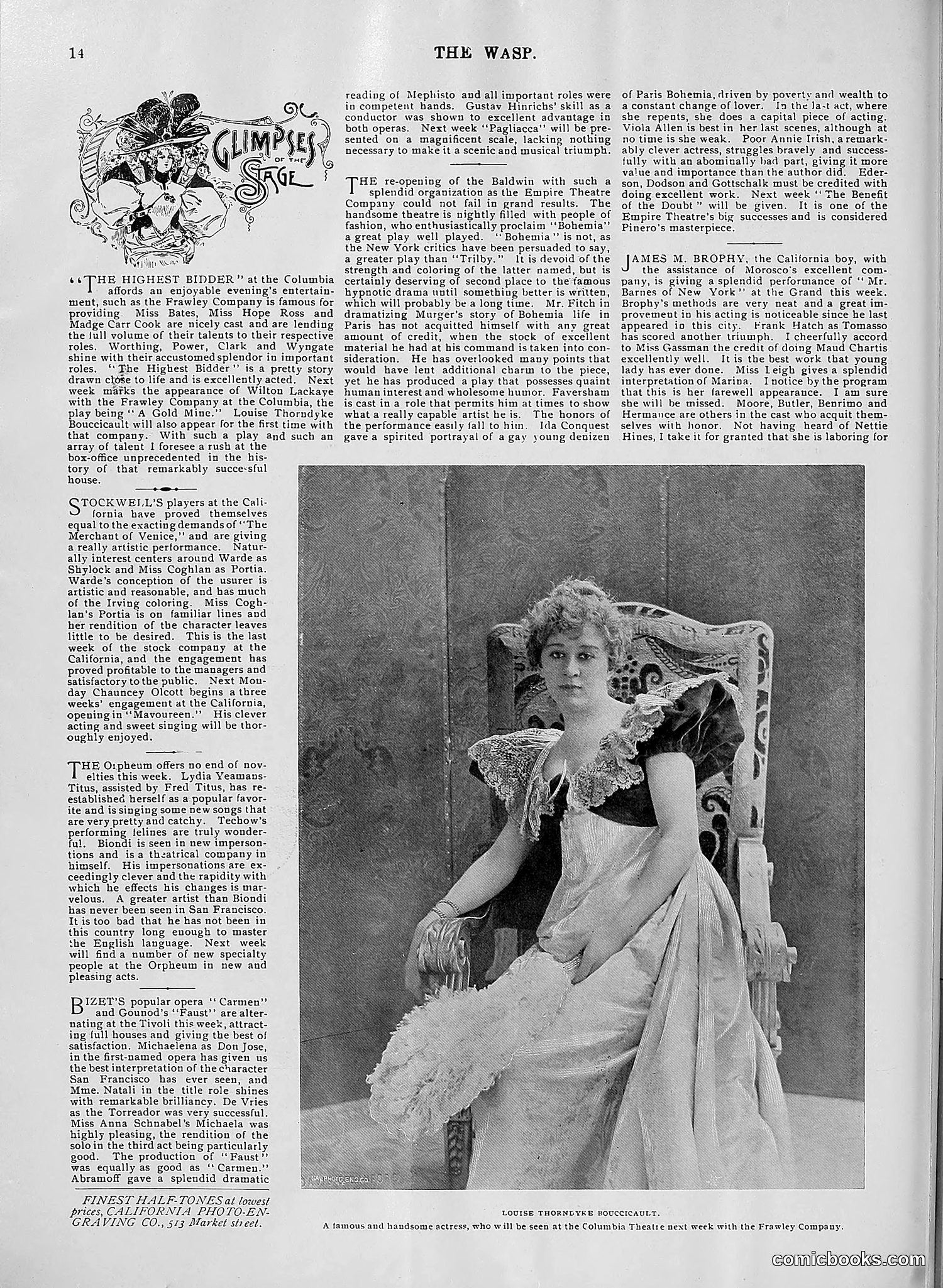 The Wasp — 1896 — page 605 of 1082