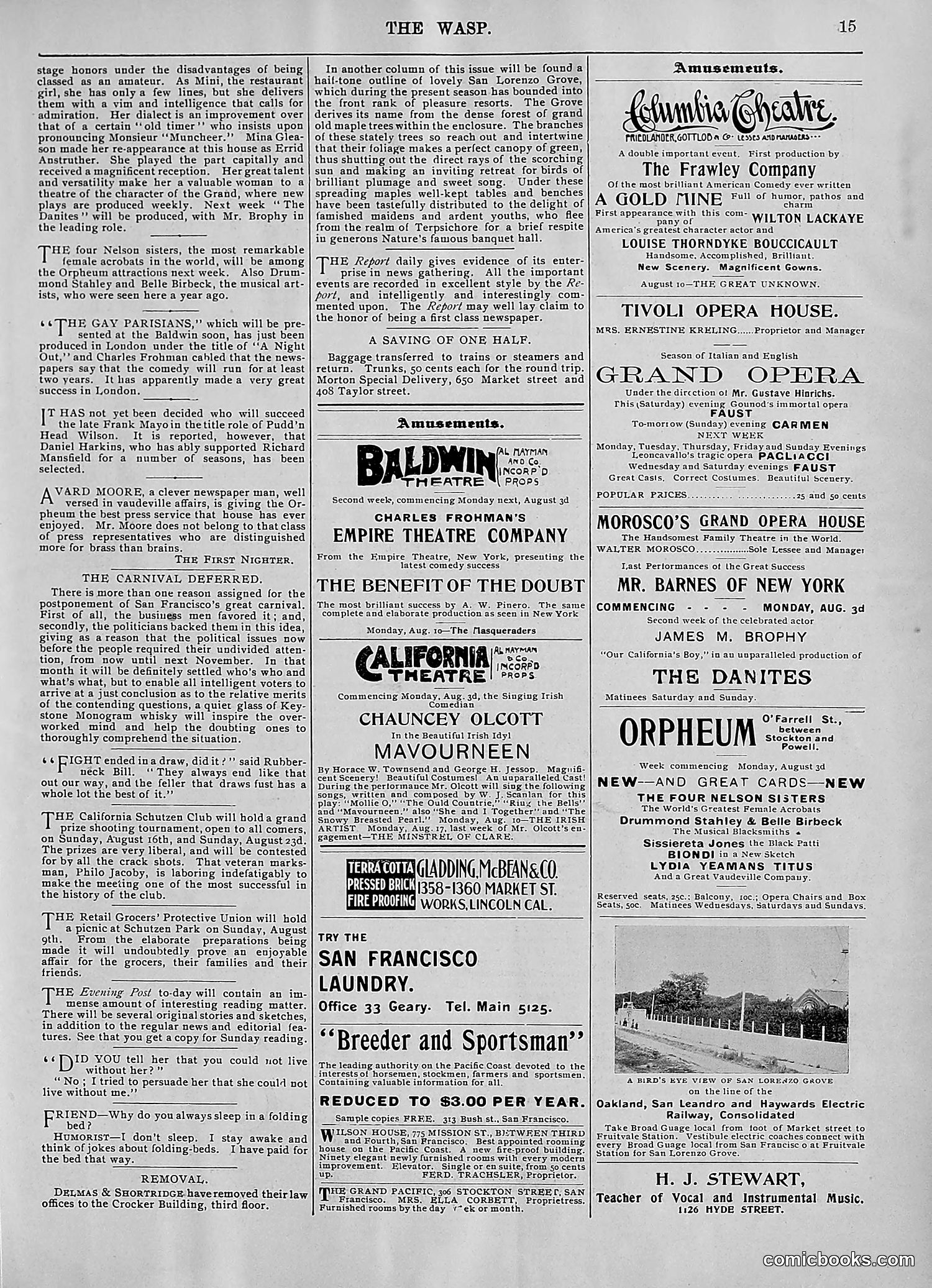 The Wasp — 1896 — page 606 of 1082
