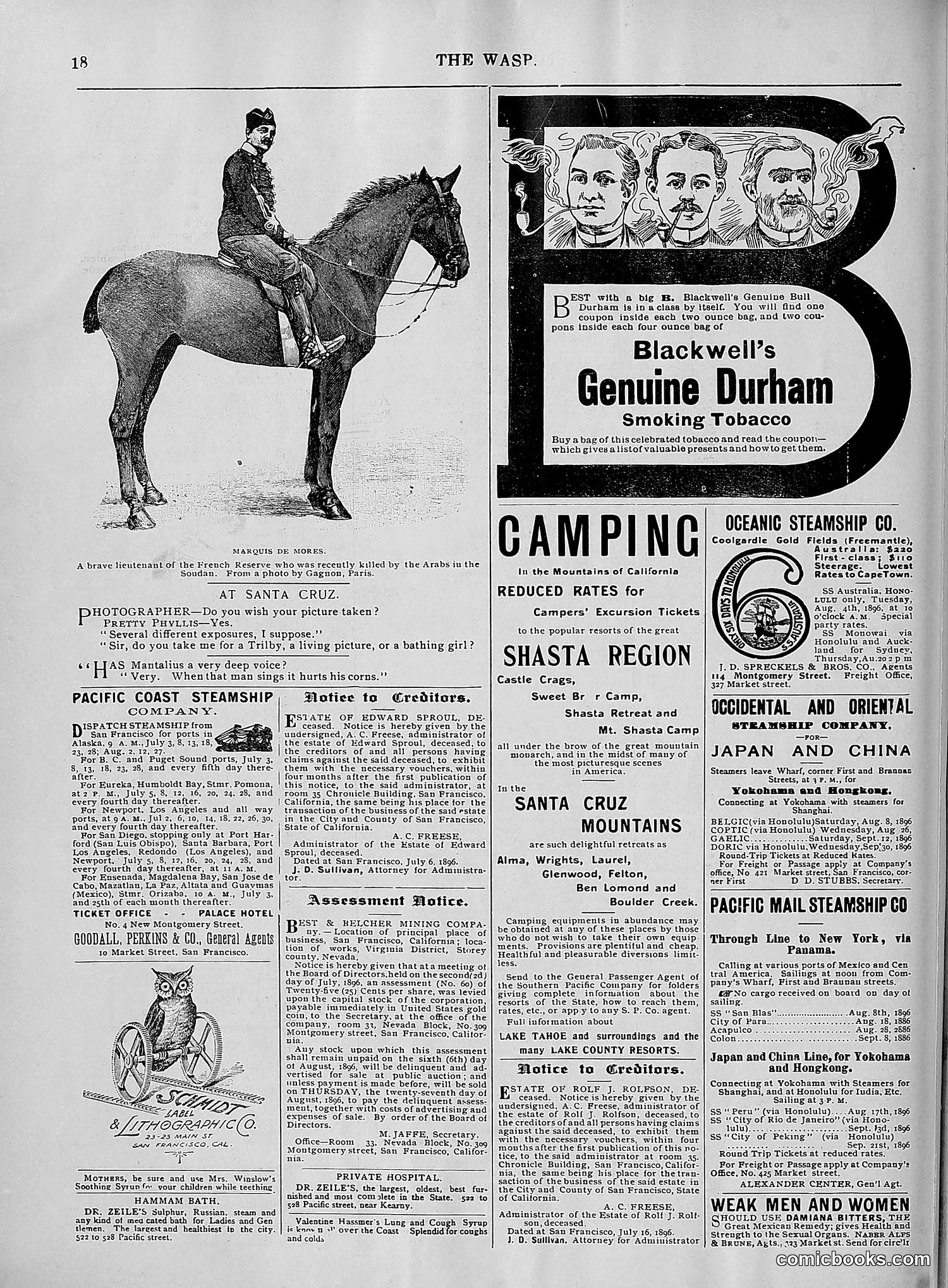 The Wasp — 1896 — page 609 of 1082