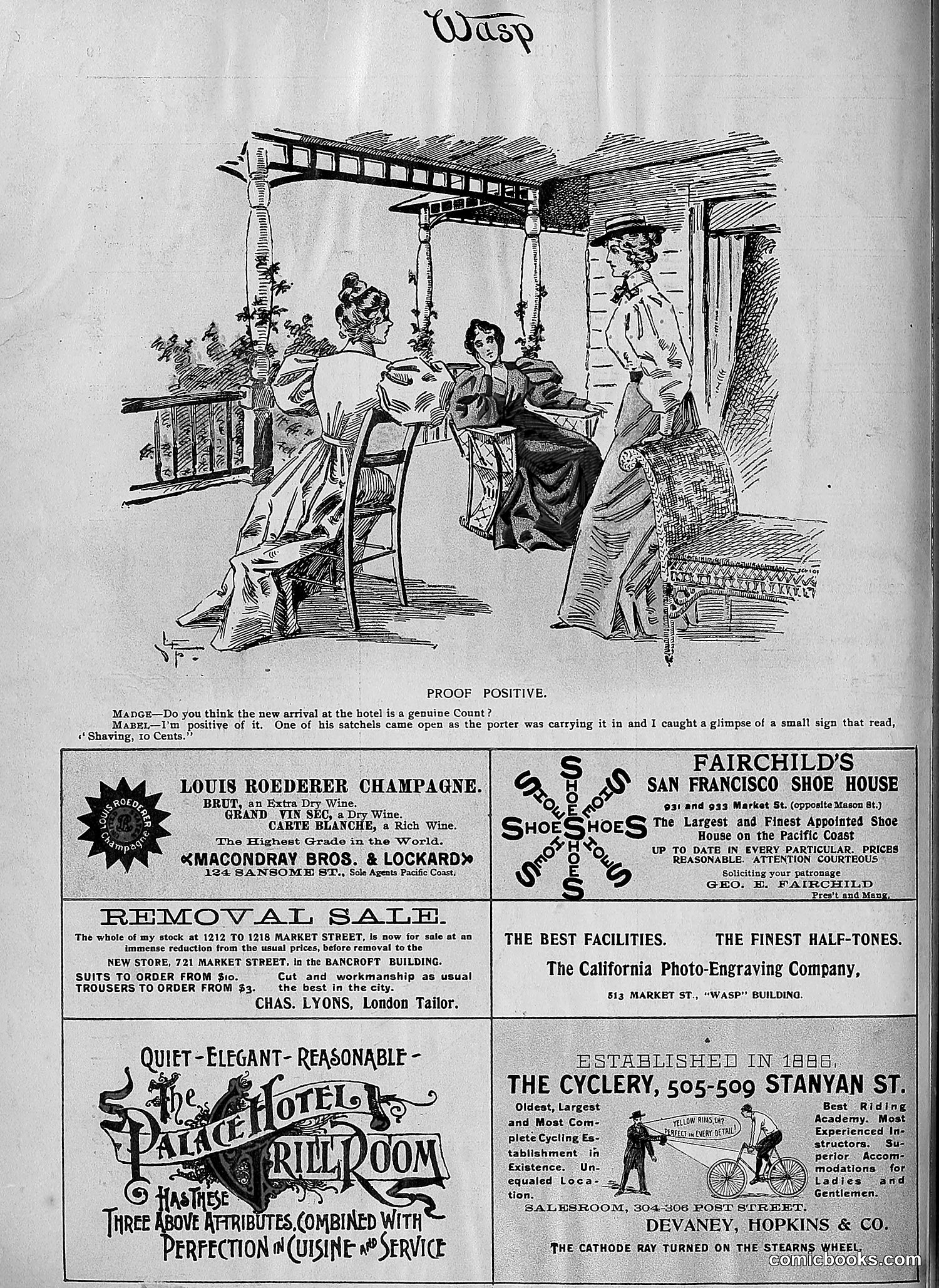The Wasp — 1896 — page 611 of 1082