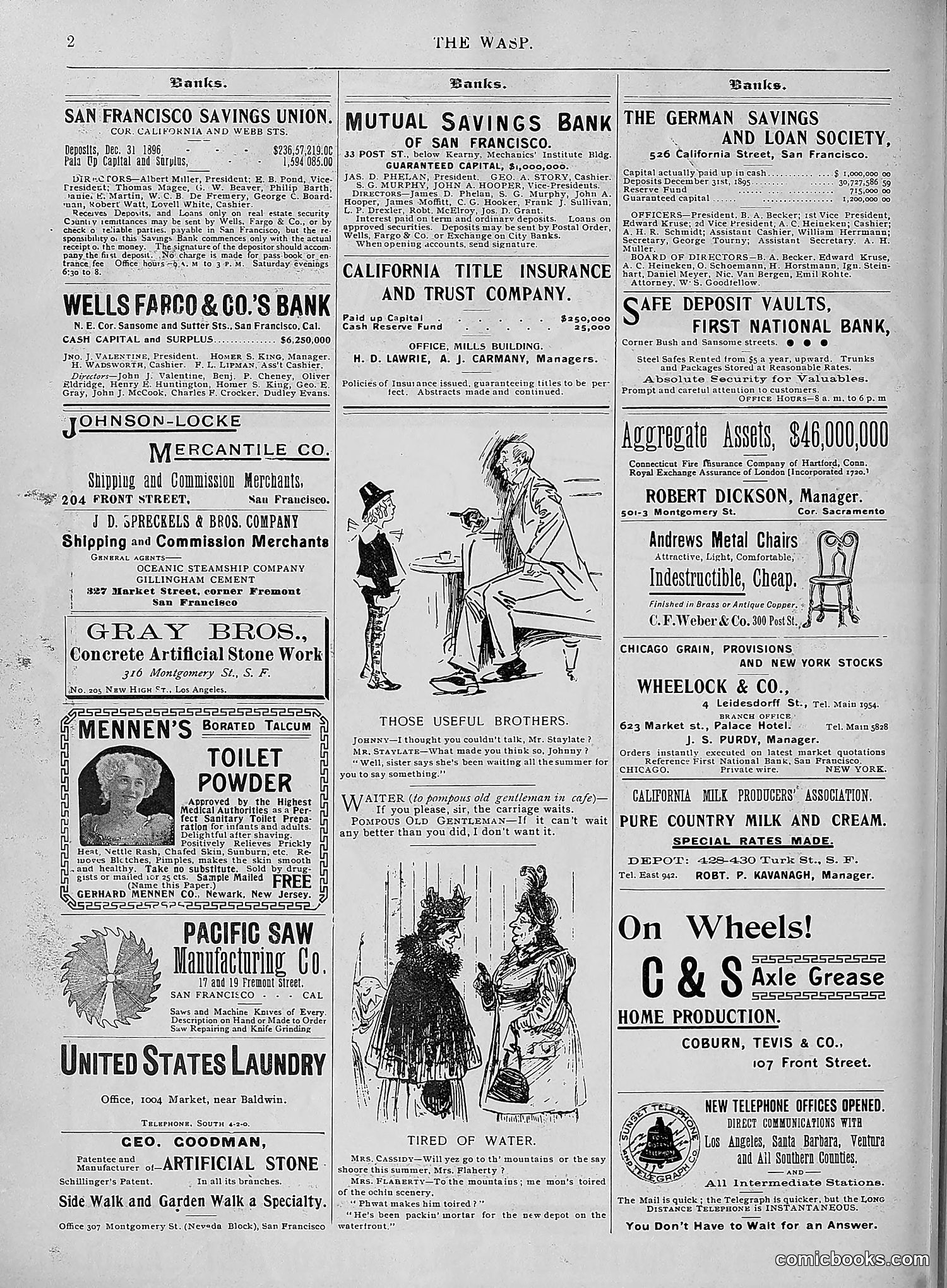 The Wasp — 1896 — page 613 of 1082