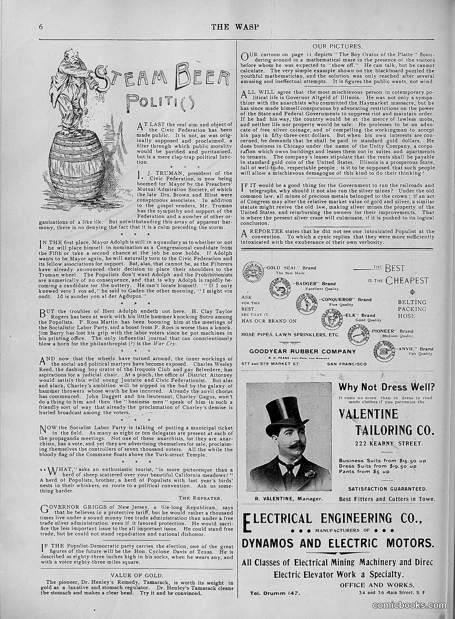 The Wasp — 1896 — page 617 of 1082