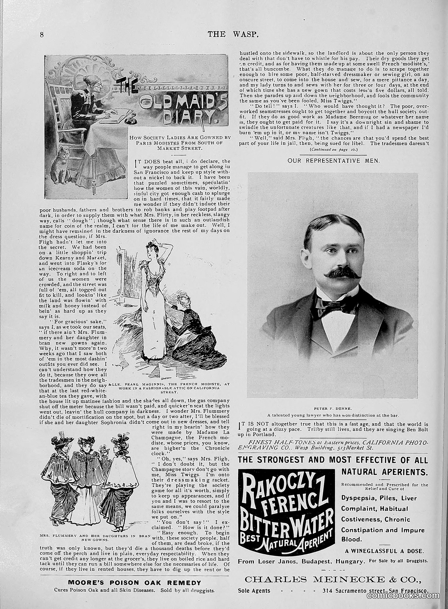 The Wasp — 1896 — page 619 of 1082