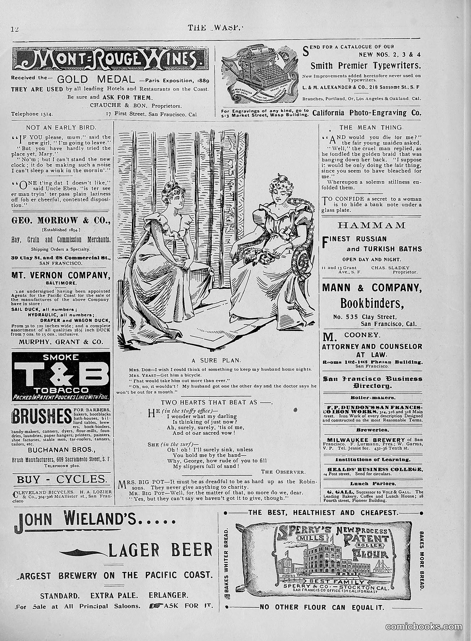 The Wasp — 1896 — page 623 of 1082
