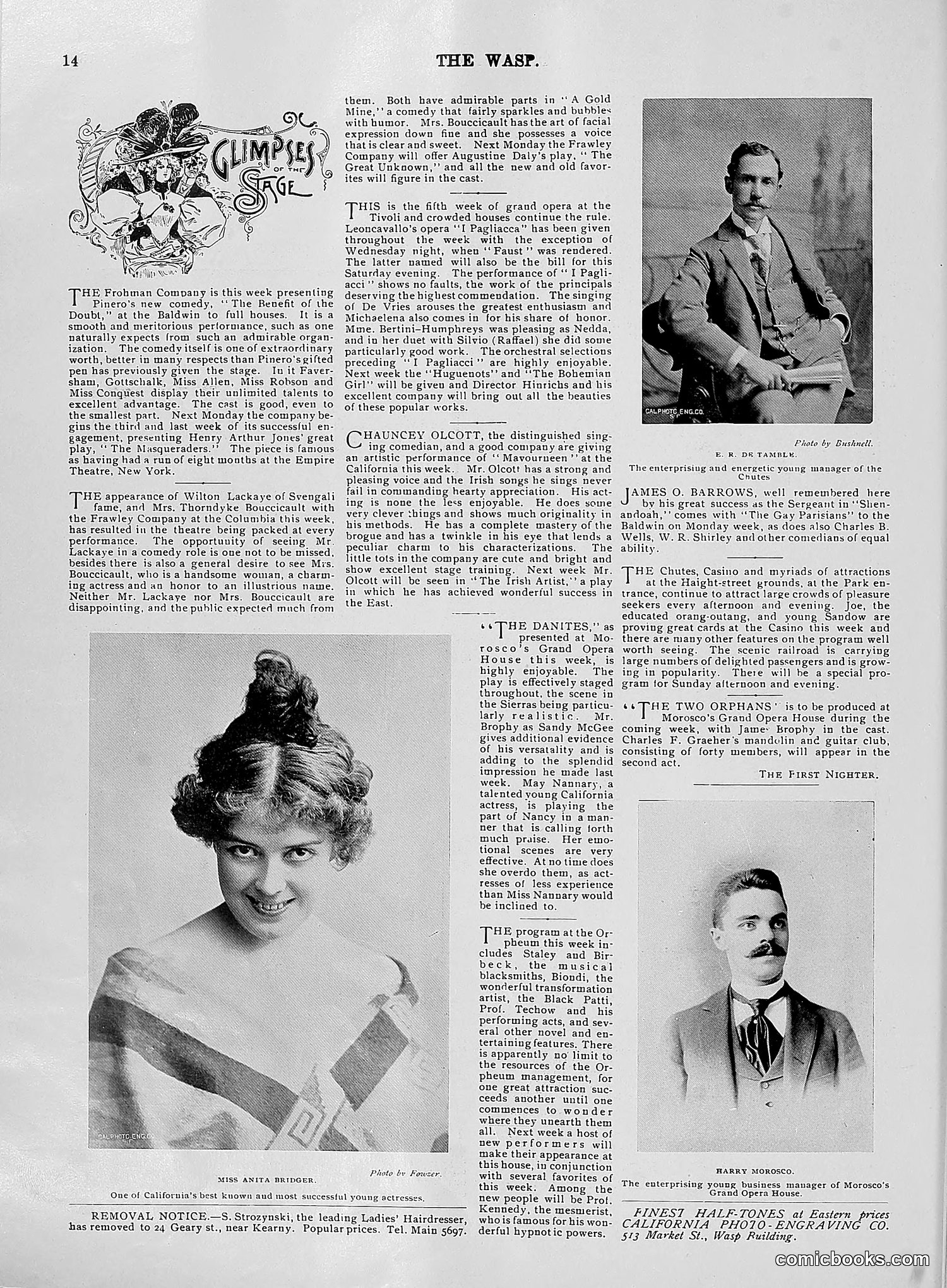 The Wasp — 1896 — page 625 of 1082