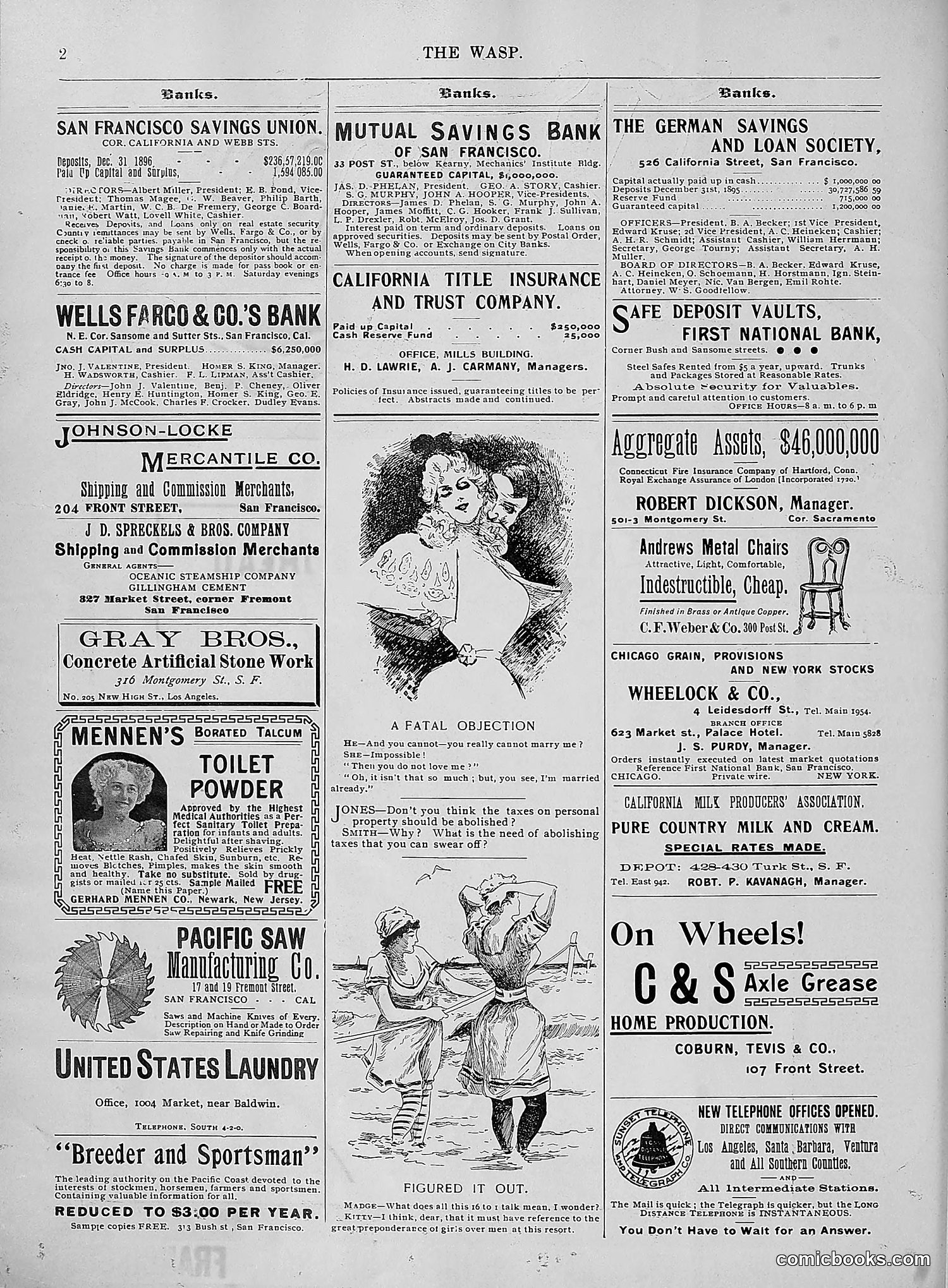 The Wasp — 1896 — page 633 of 1082
