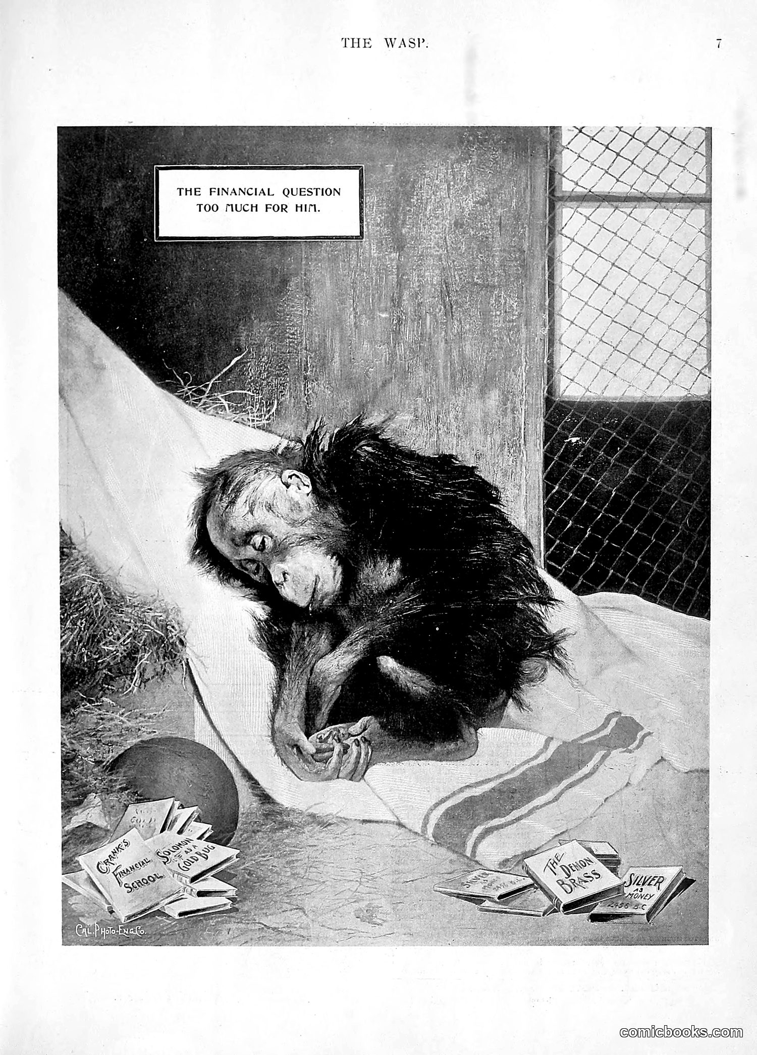The Wasp — 1896 — page 638 of 1082