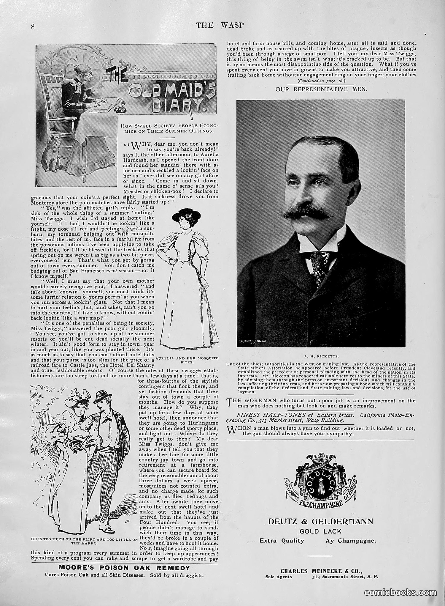 The Wasp — 1896 — page 639 of 1082
