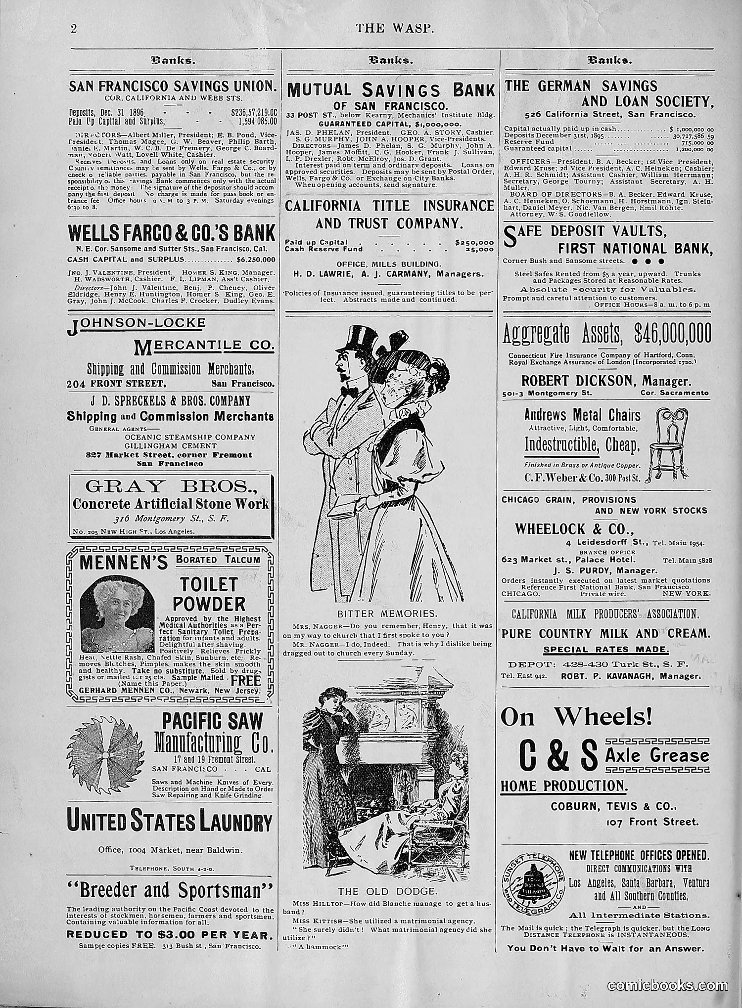 The Wasp — 1896 — page 653 of 1082