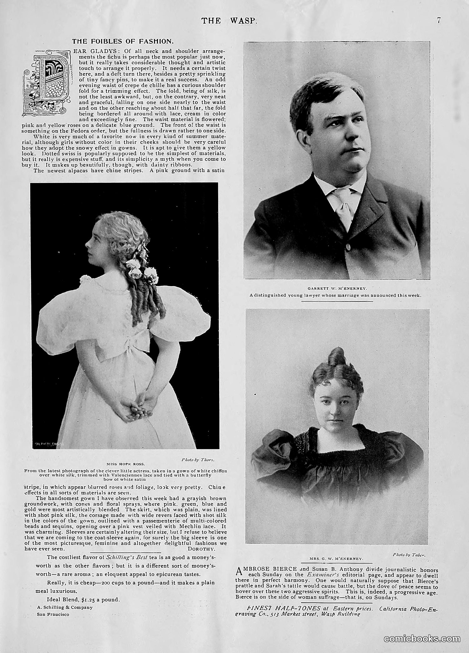 The Wasp — 1896 — page 658 of 1082