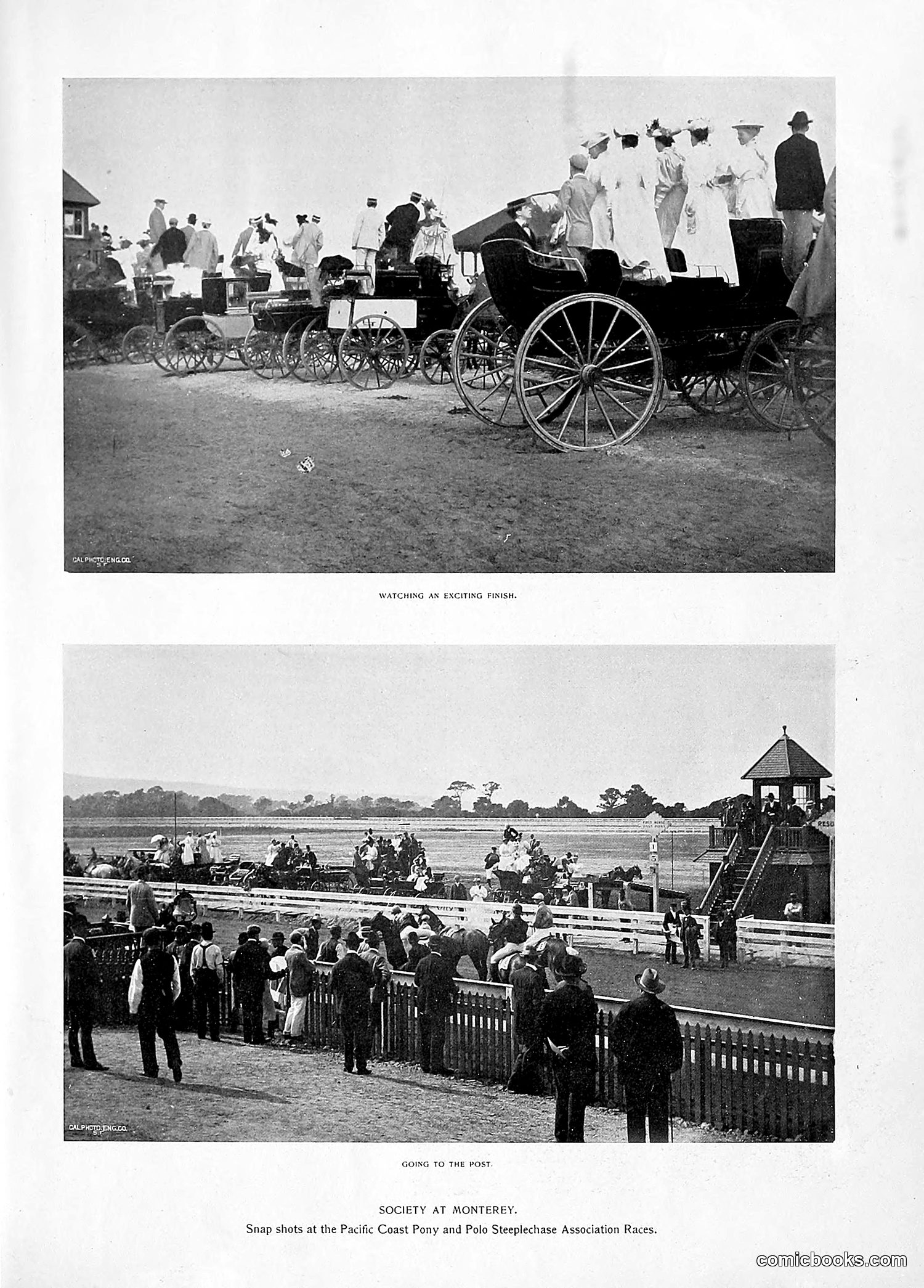 The Wasp — 1896 — page 676 of 1082
