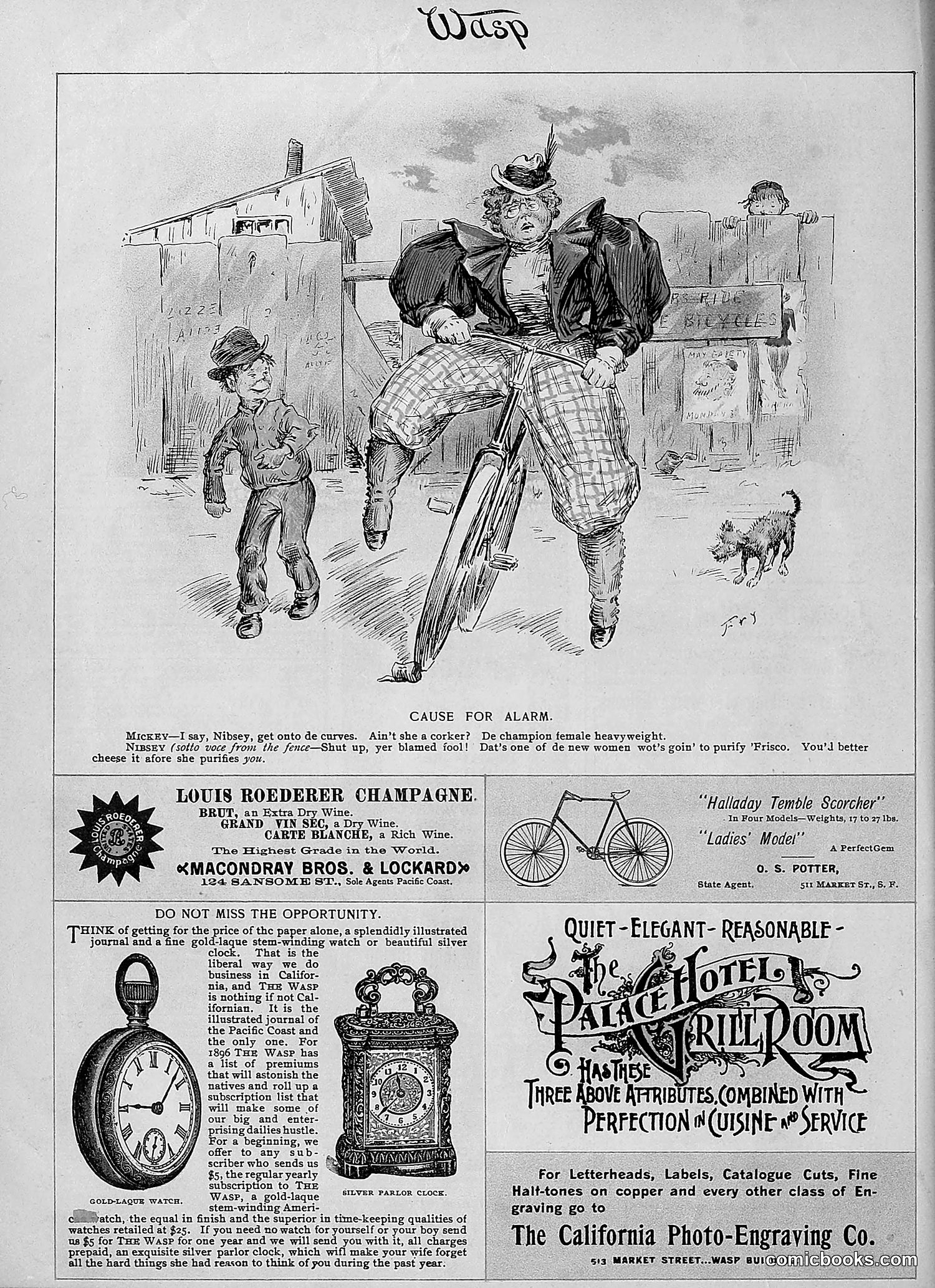 The Wasp — 1896 — page 69 of 1082