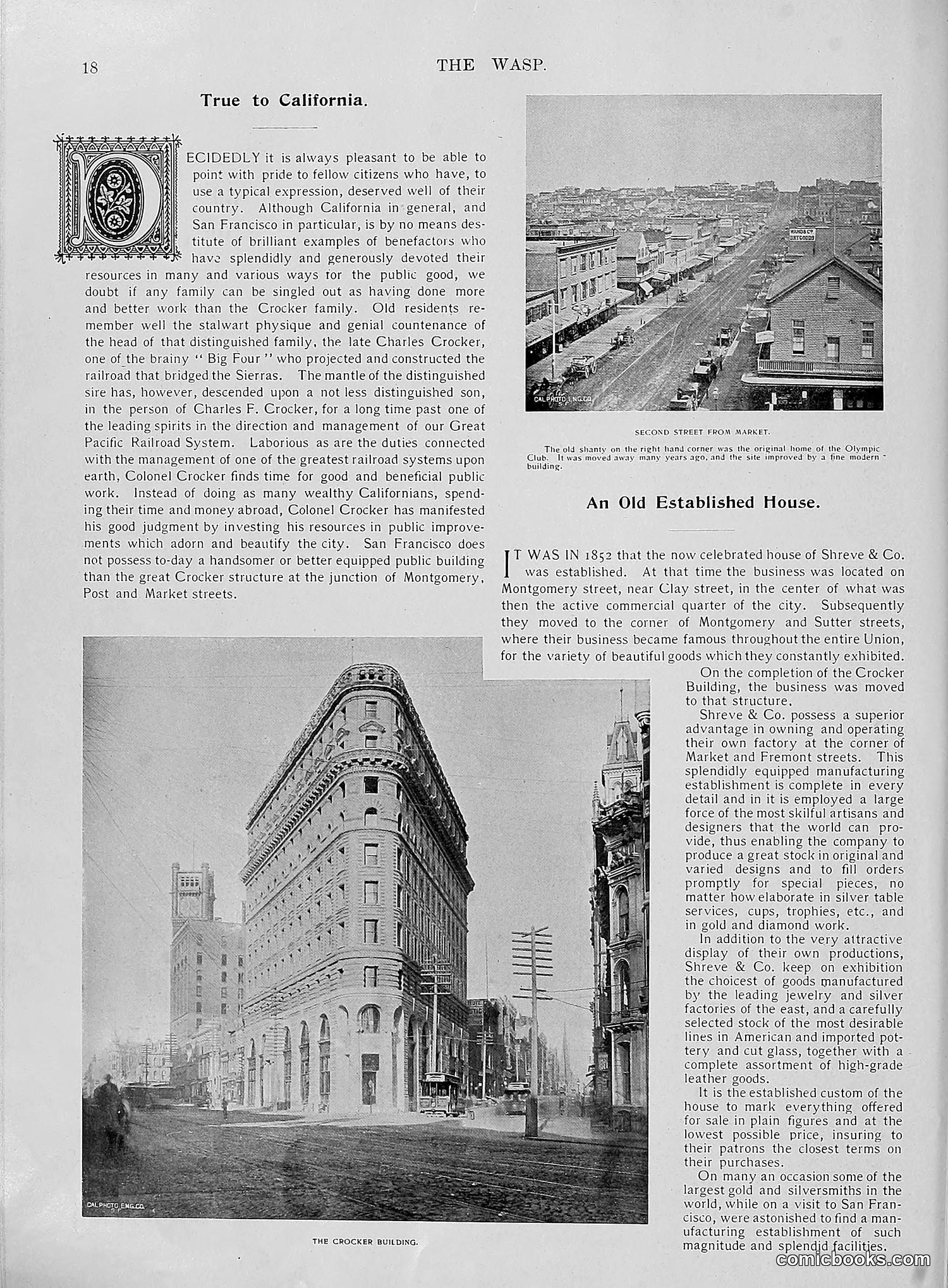 The Wasp — 1896 — page 689 of 1082