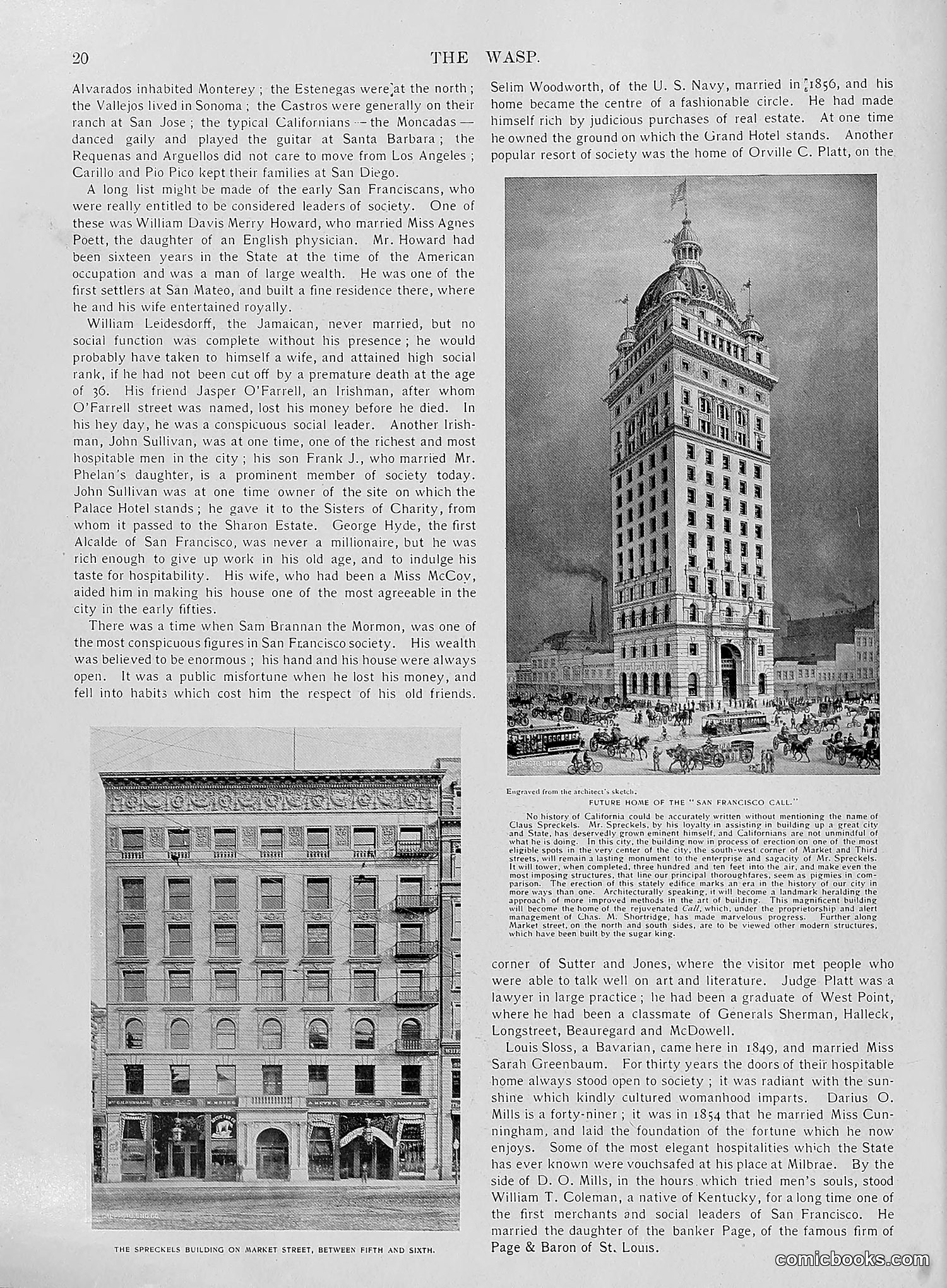 The Wasp — 1896 — page 691 of 1082