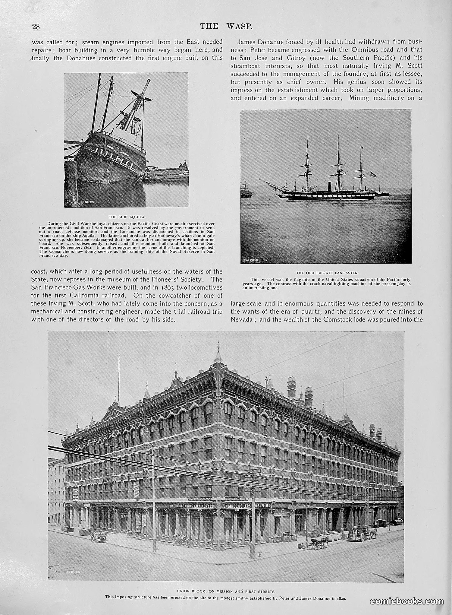 The Wasp — 1896 — page 699 of 1082