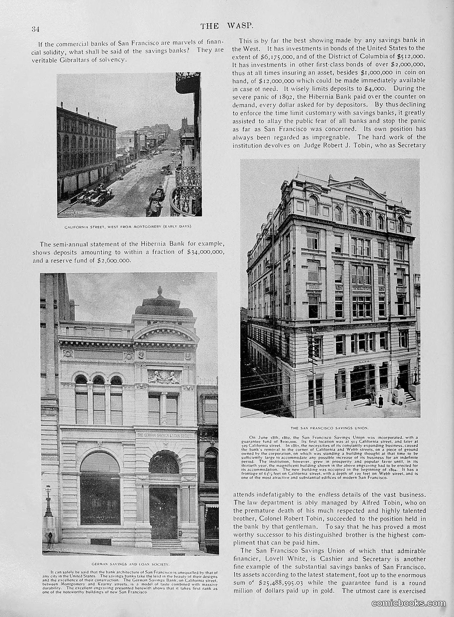 The Wasp — 1896 — page 705 of 1082