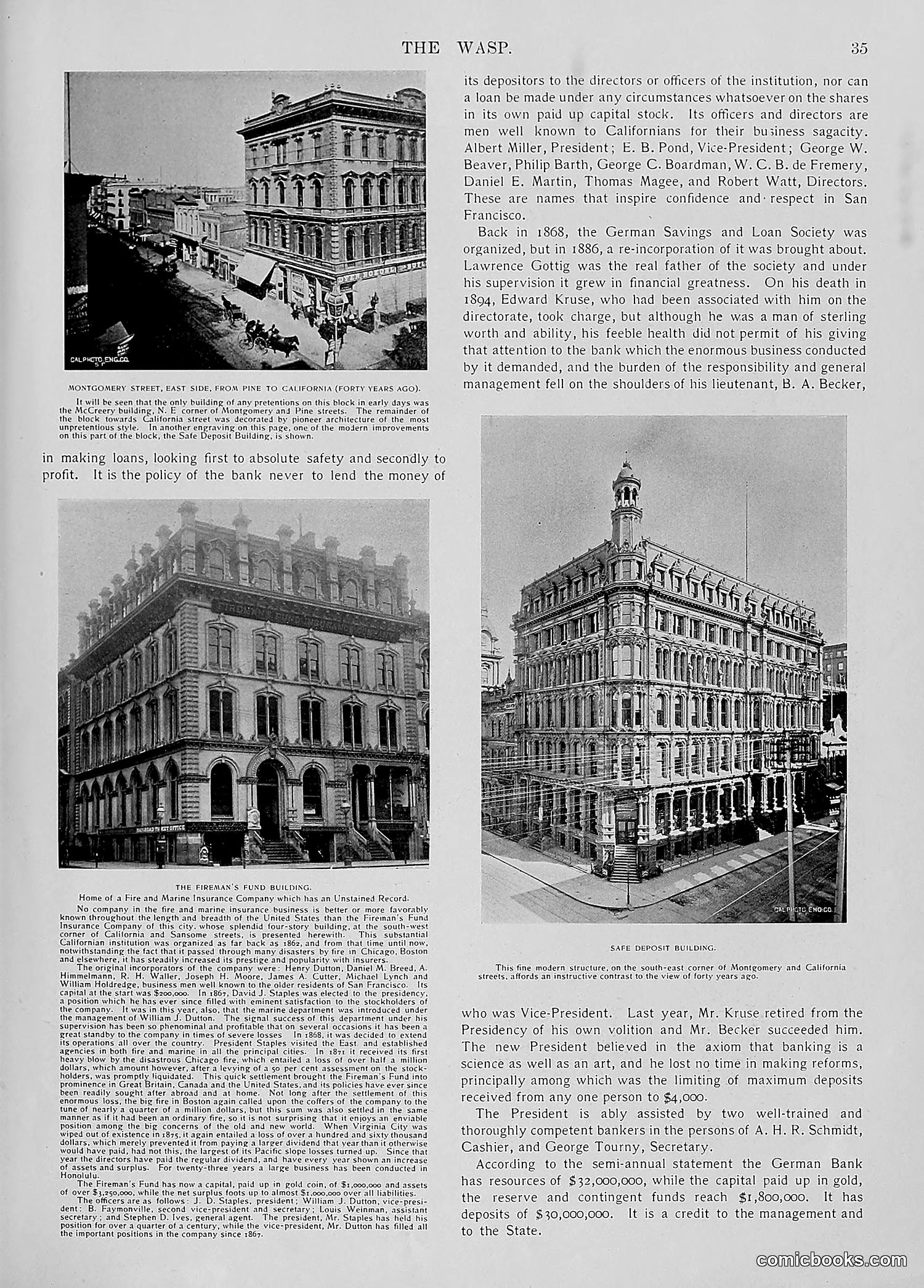 The Wasp — 1896 — page 706 of 1082