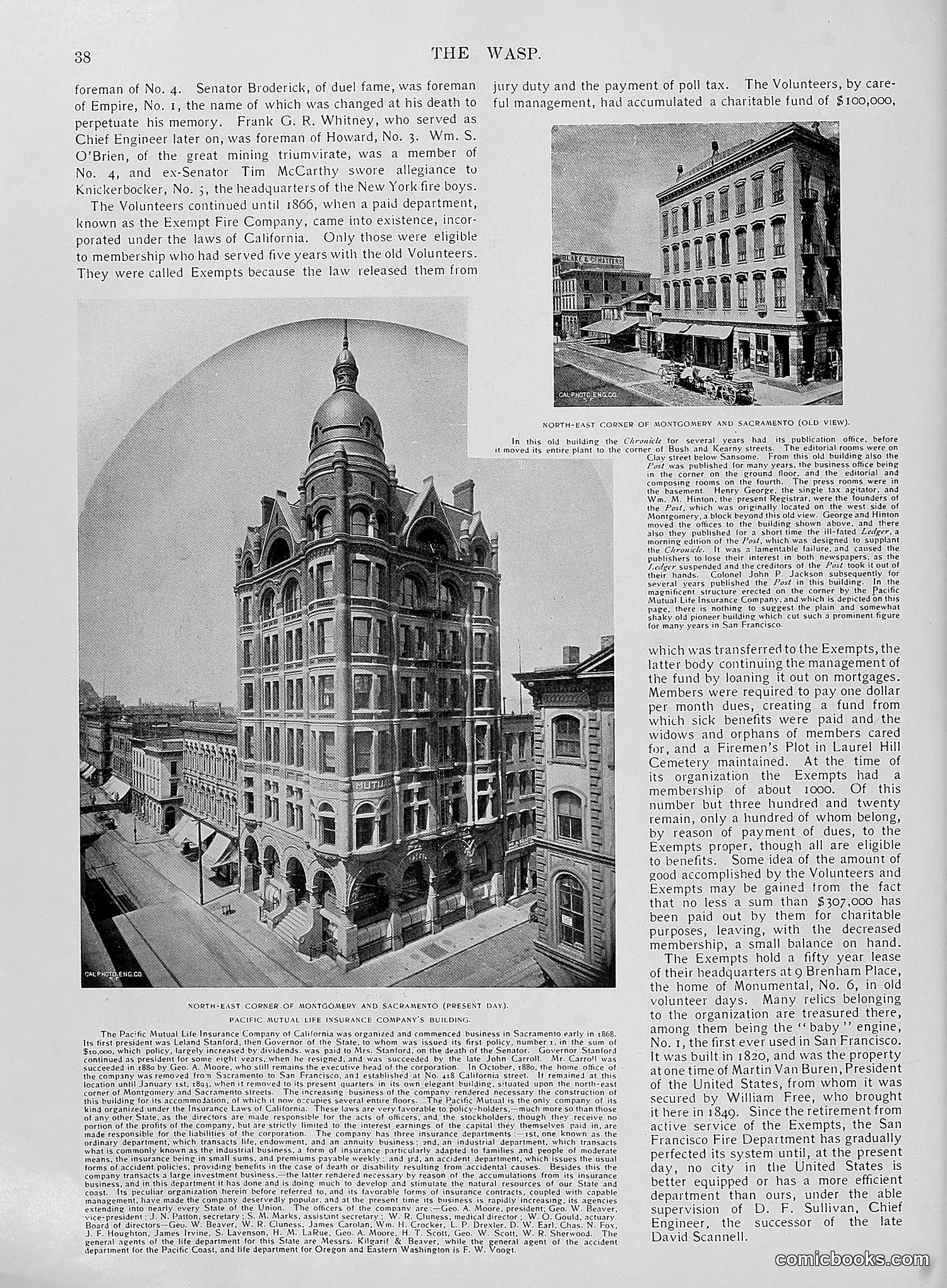 The Wasp — 1896 — page 709 of 1082
