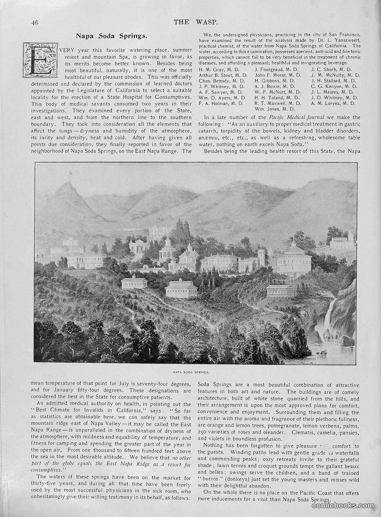 The Wasp — 1896 — page 717 of 1082