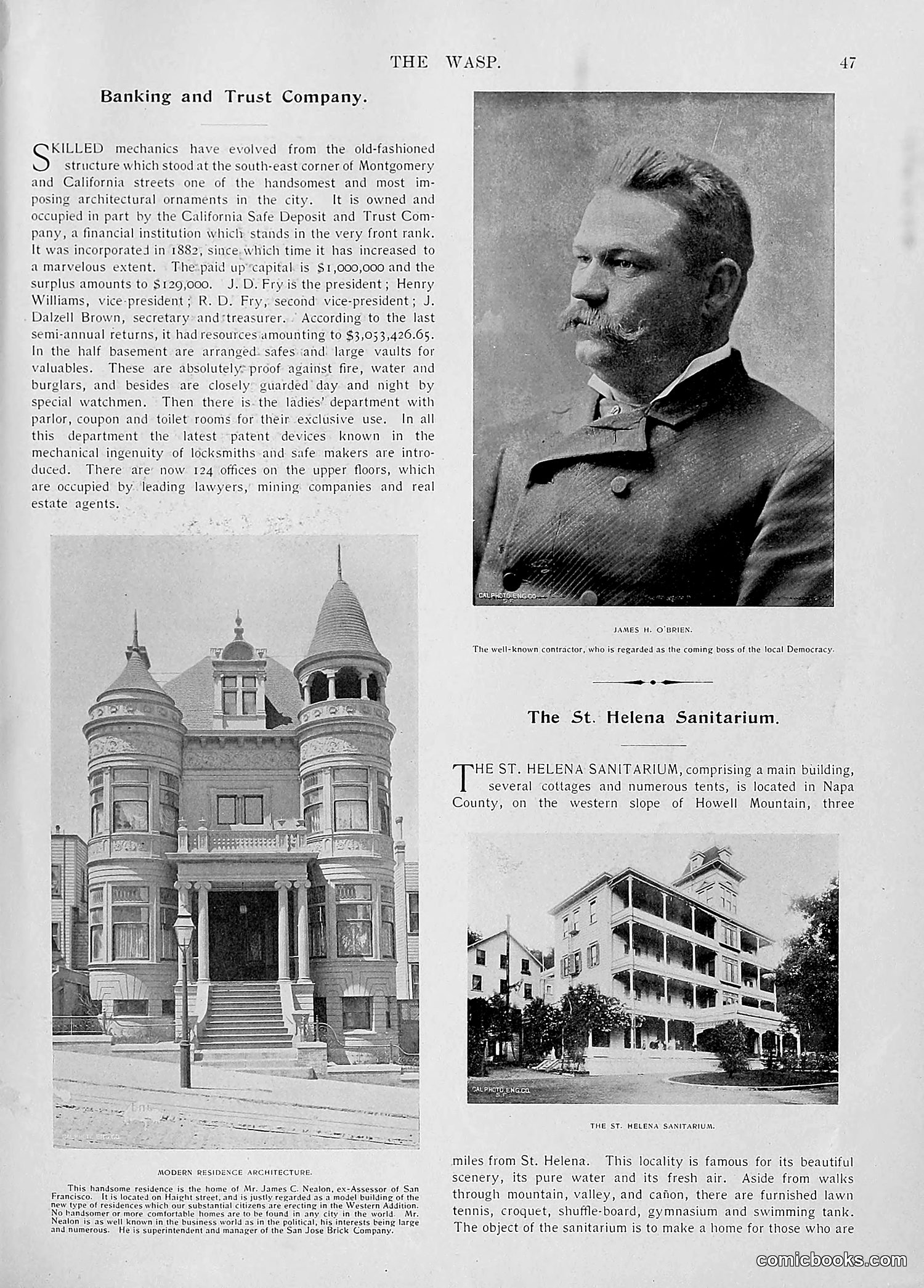 The Wasp — 1896 — page 718 of 1082