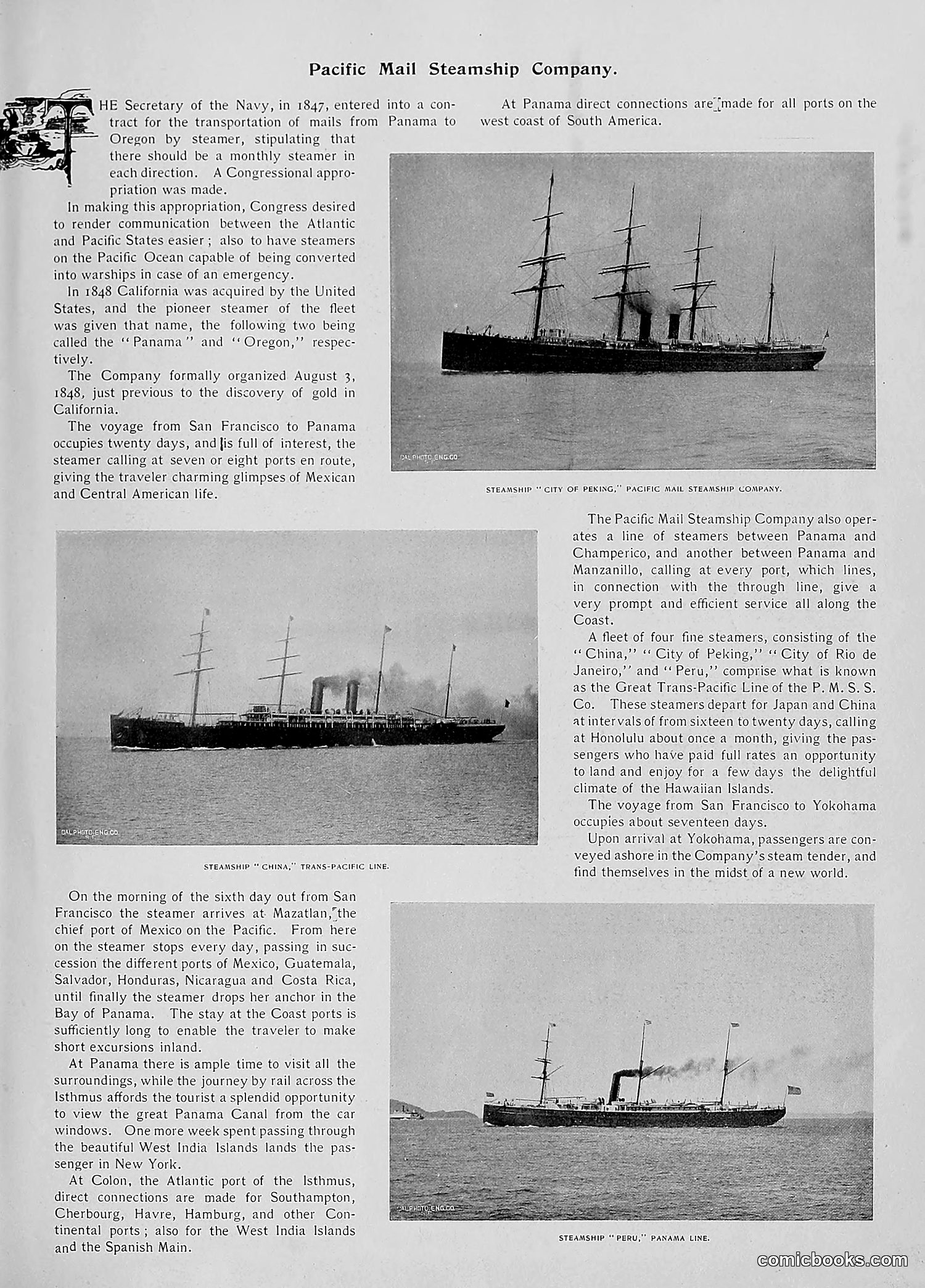 The Wasp — 1896 — page 720 of 1082