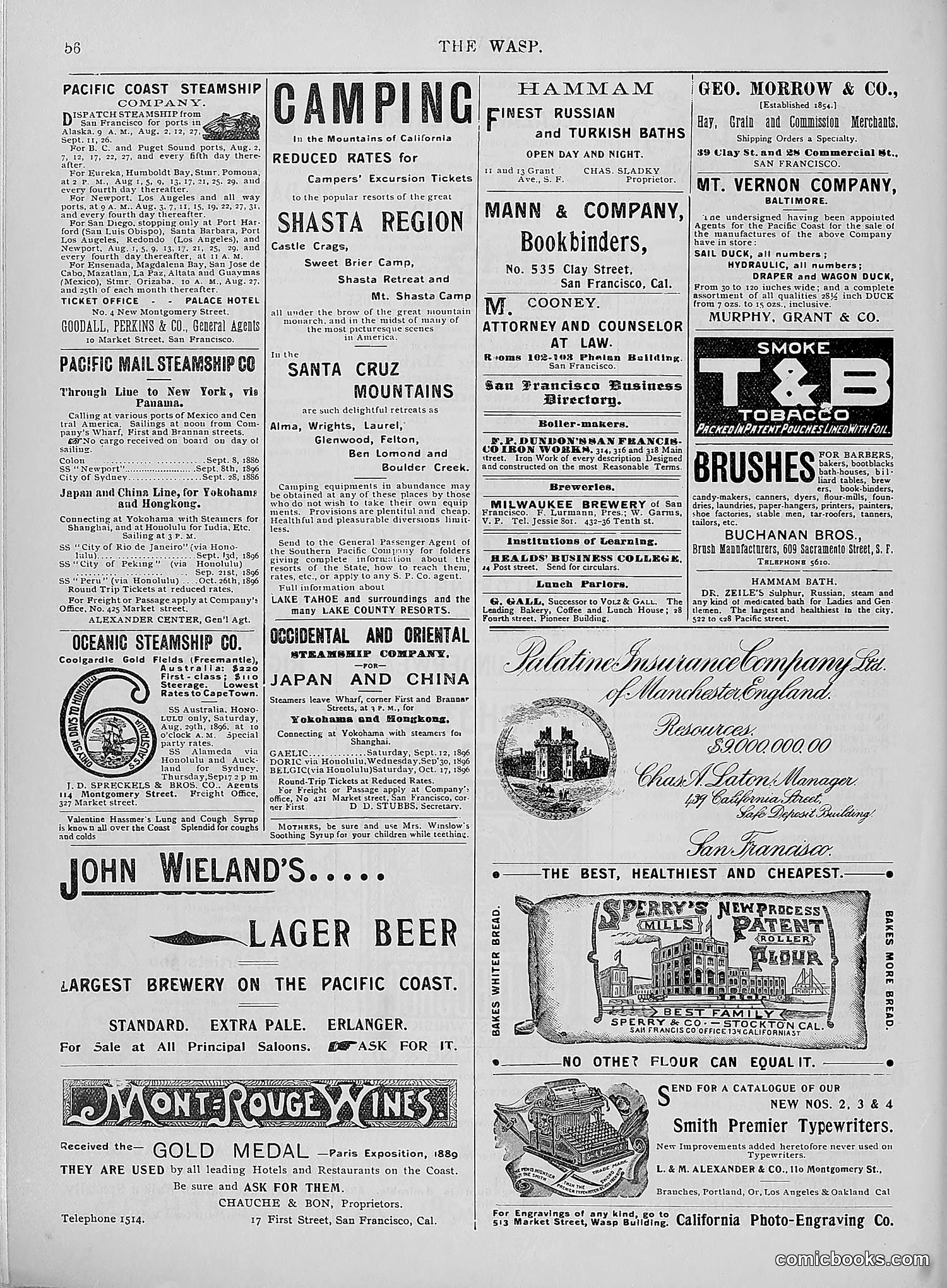 The Wasp — 1896 — page 725 of 1082