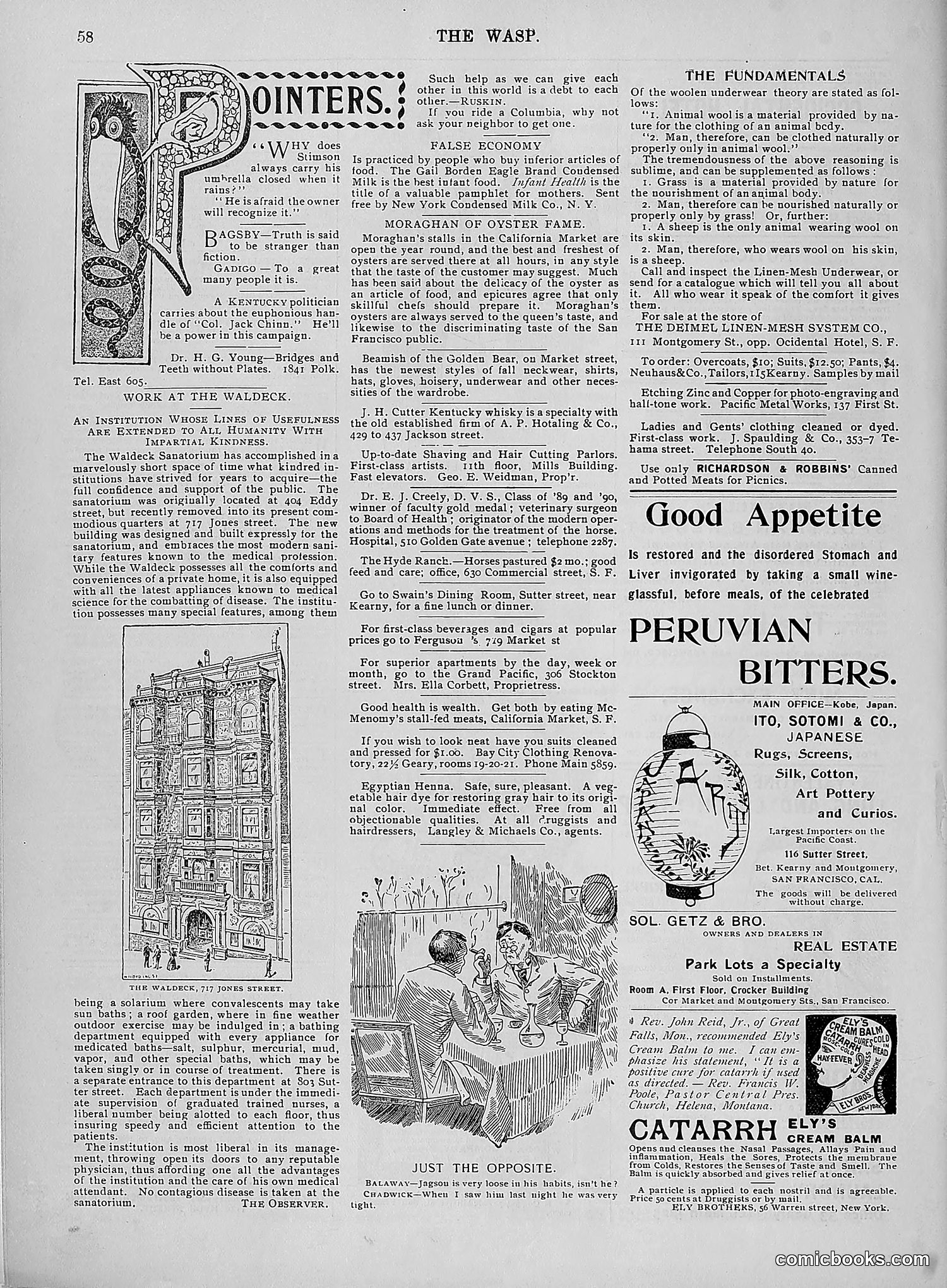 The Wasp — 1896 — page 727 of 1082