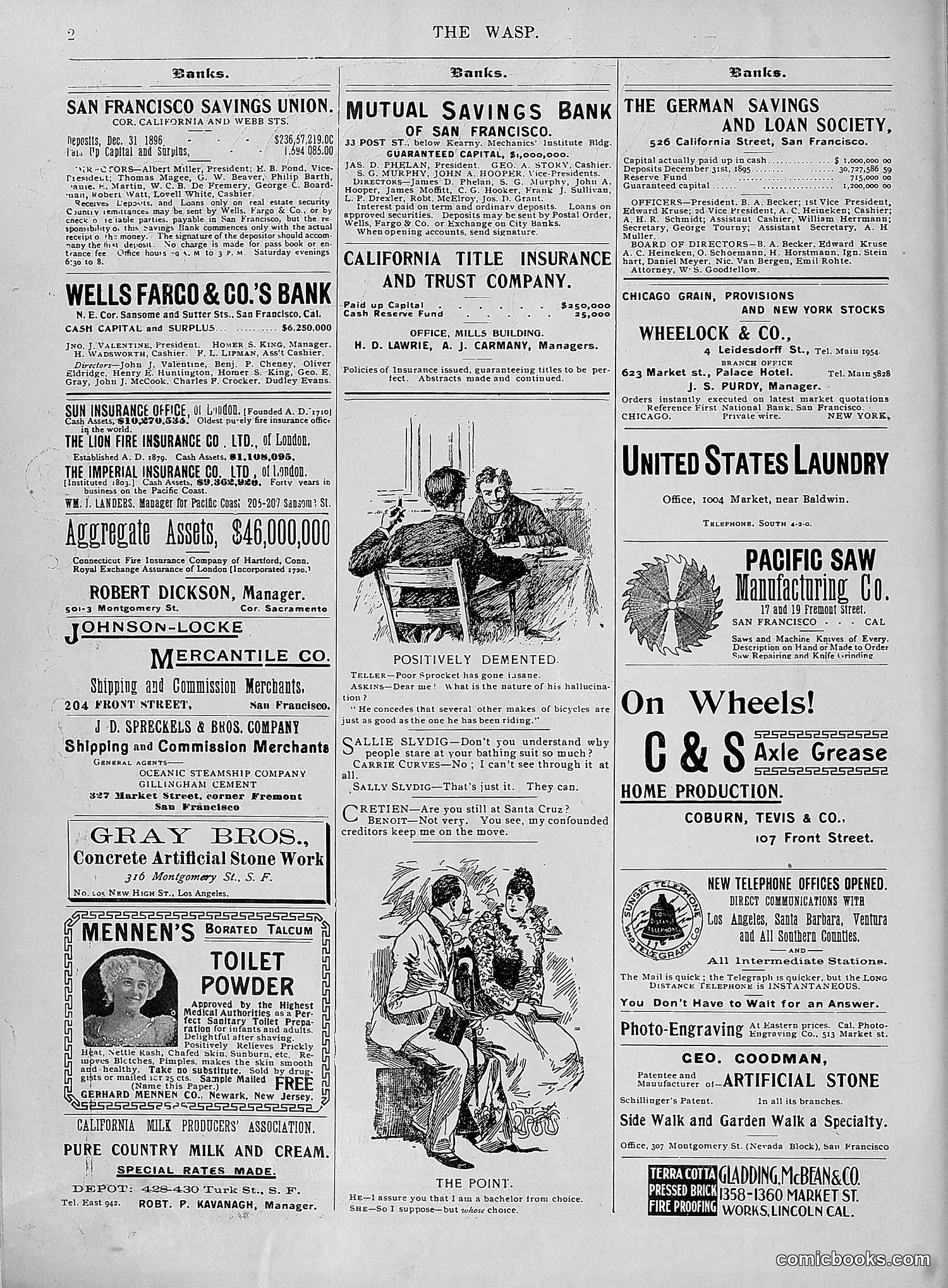 The Wasp — 1896 — page 729 of 1082