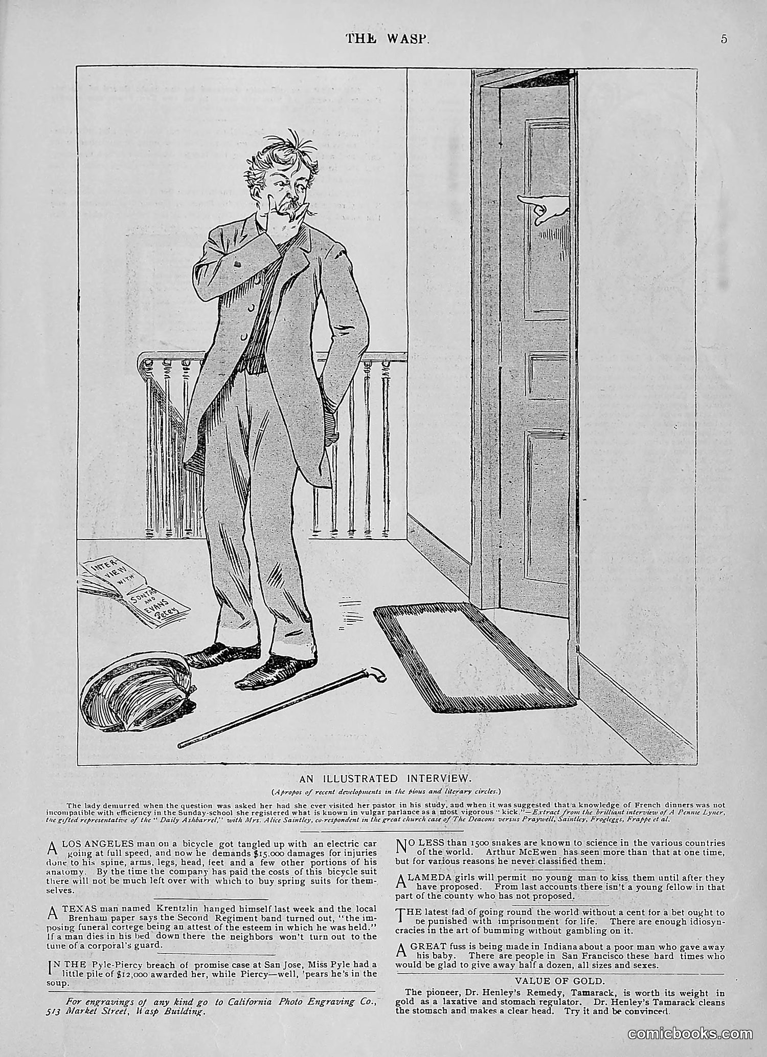 The Wasp — 1896 — page 74 of 1082