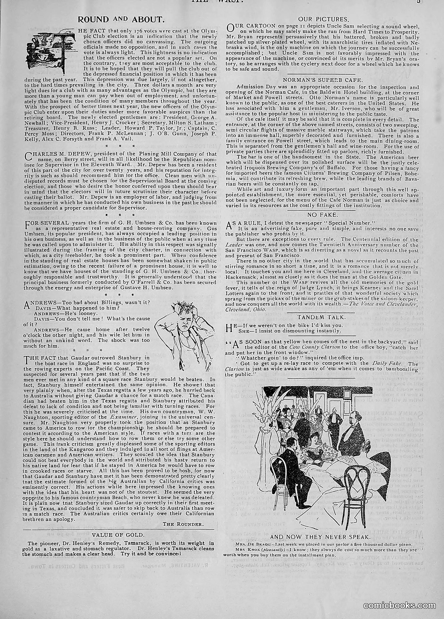 The Wasp — 1896 — page 732 of 1082