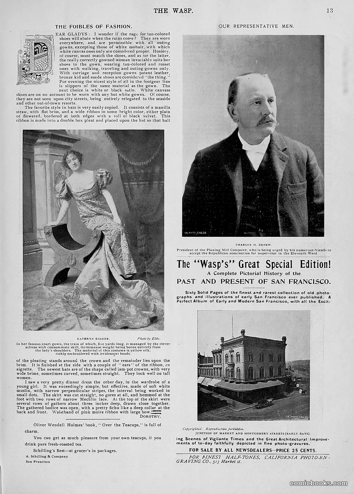 The Wasp — 1896 — page 740 of 1082
