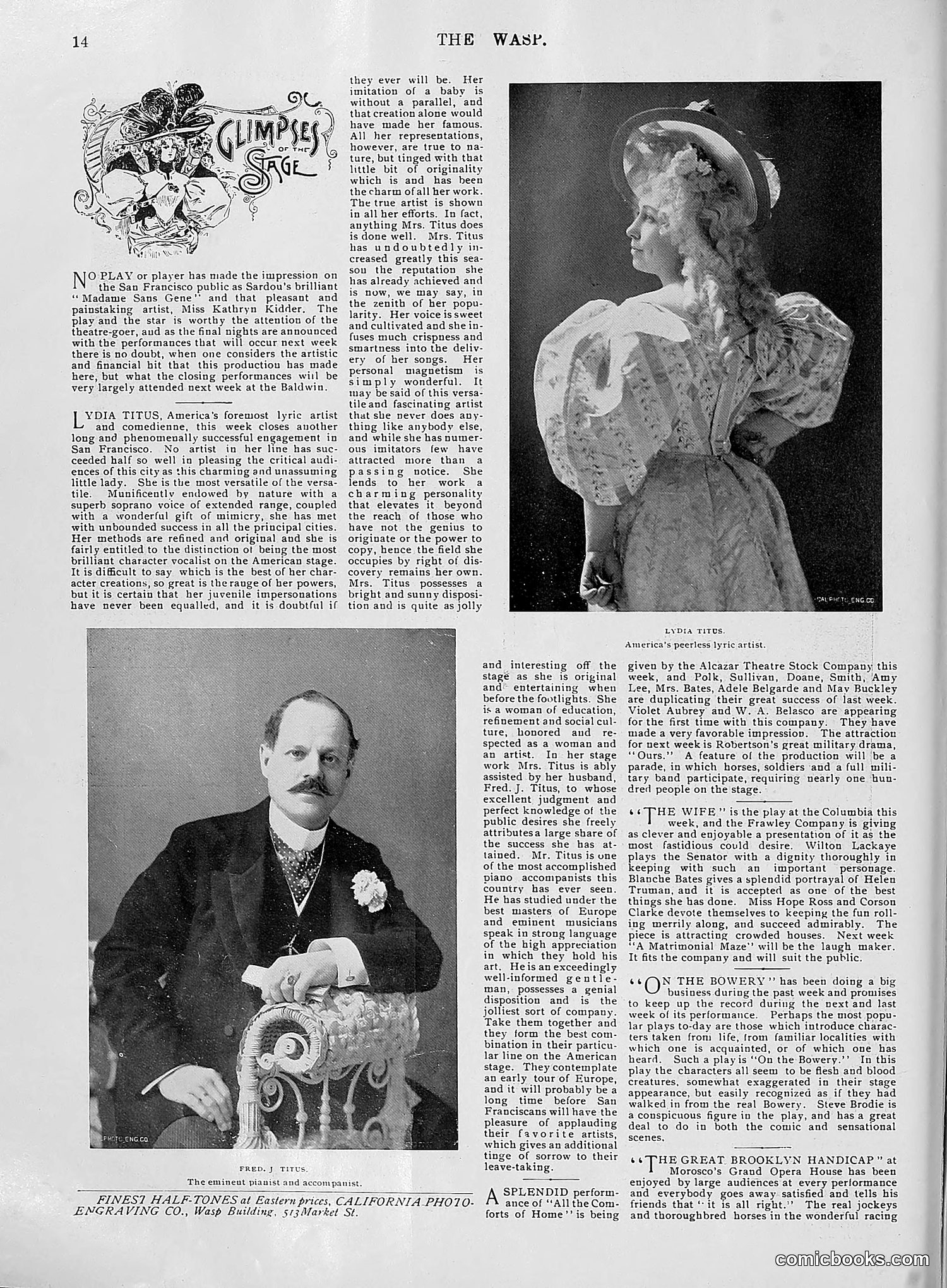 The Wasp — 1896 — page 741 of 1082