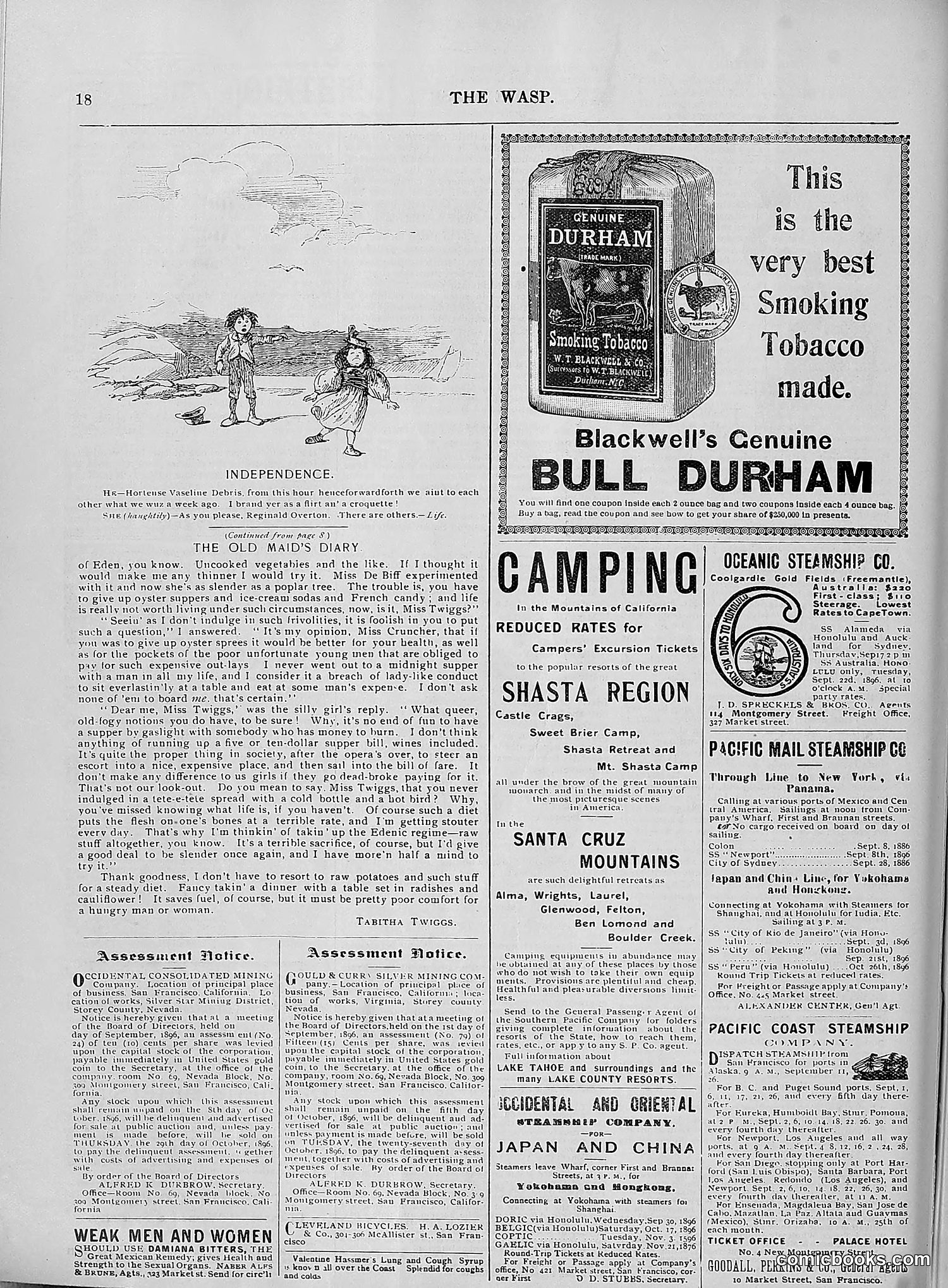 The Wasp — 1896 — page 743 of 1082