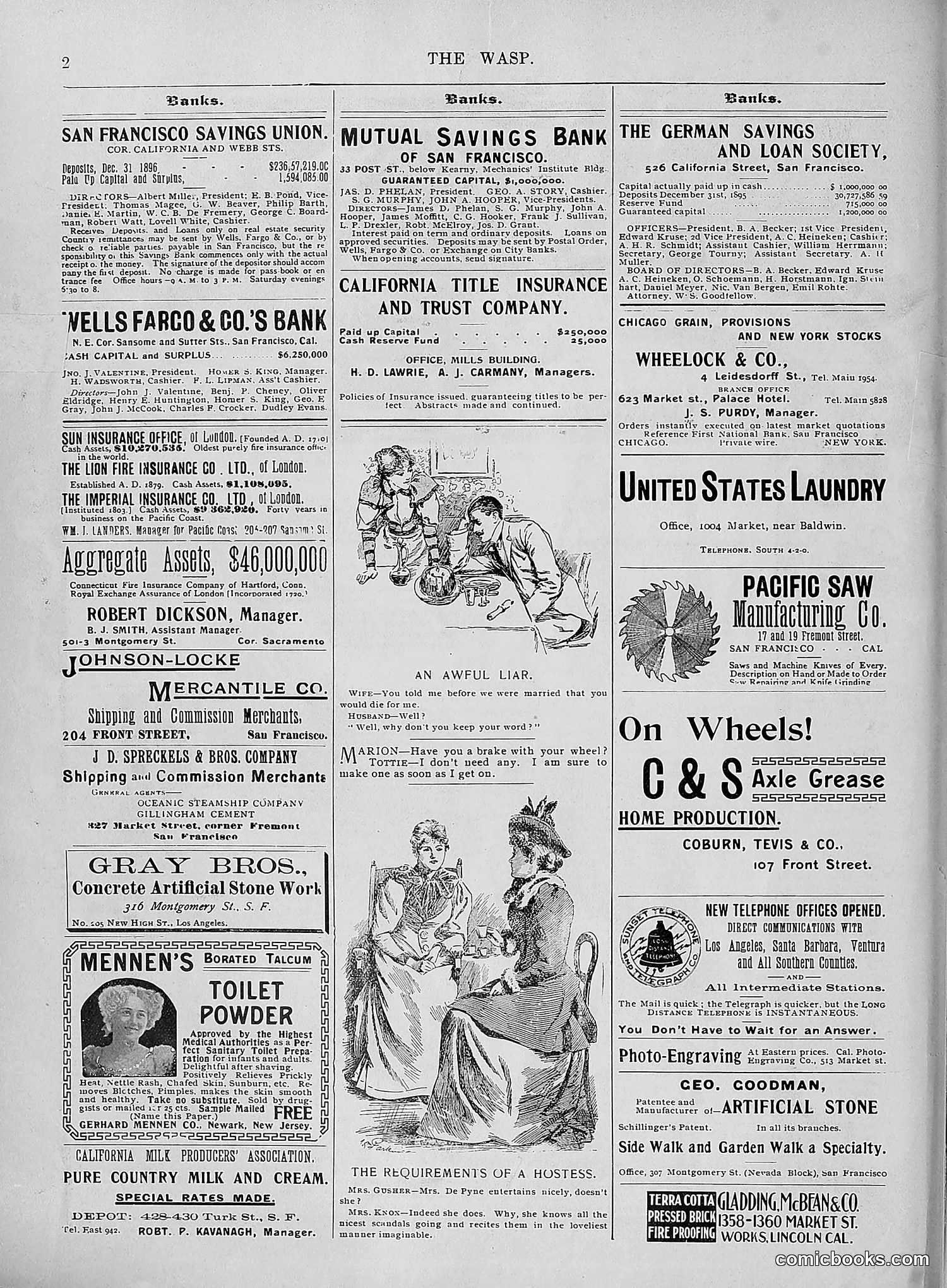 The Wasp — 1896 — page 747 of 1082